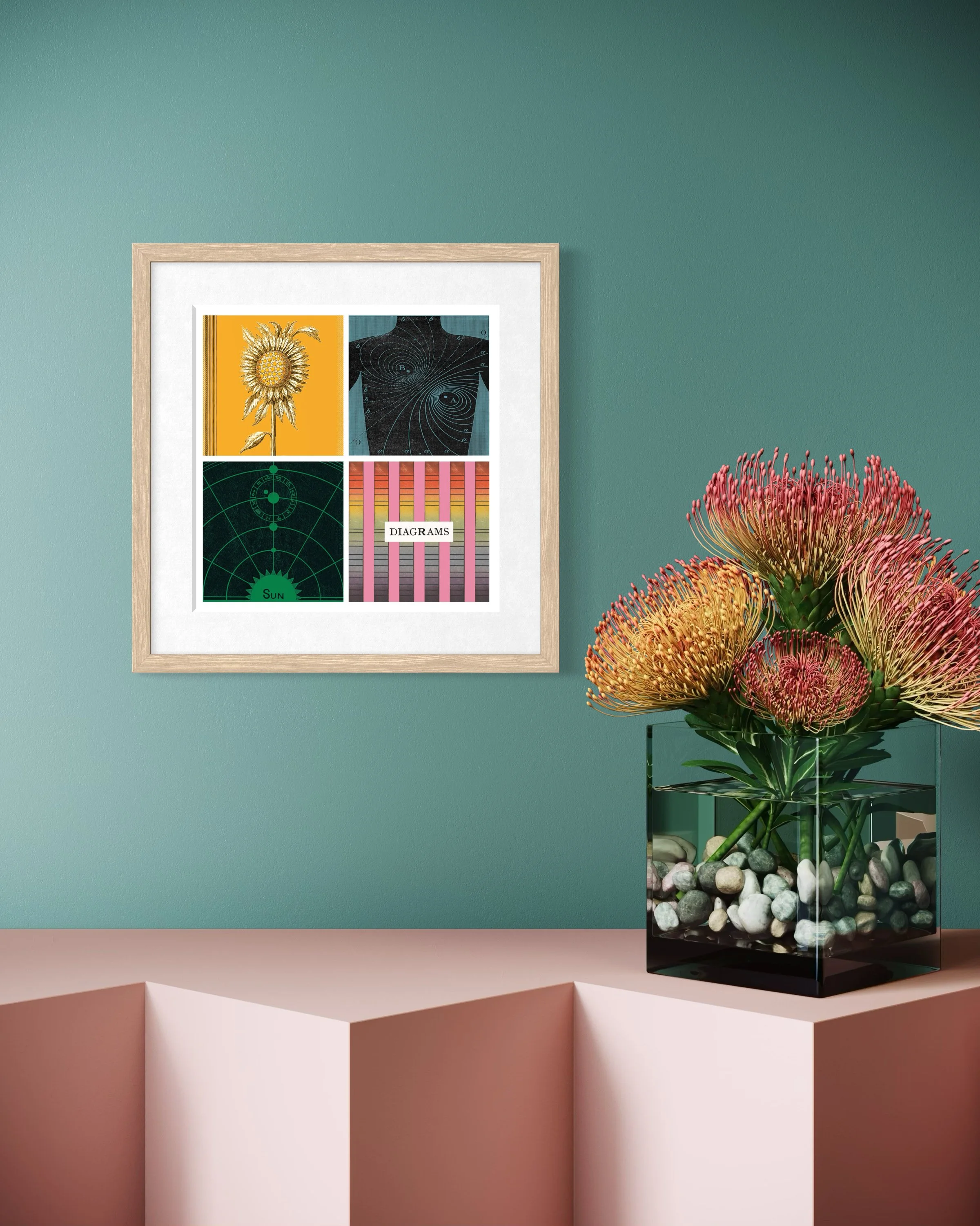 Diagrams (Two) fine-art print in an oak wood frame displayed on a teal wall above a surface with a glass vase of orange and pink flowers