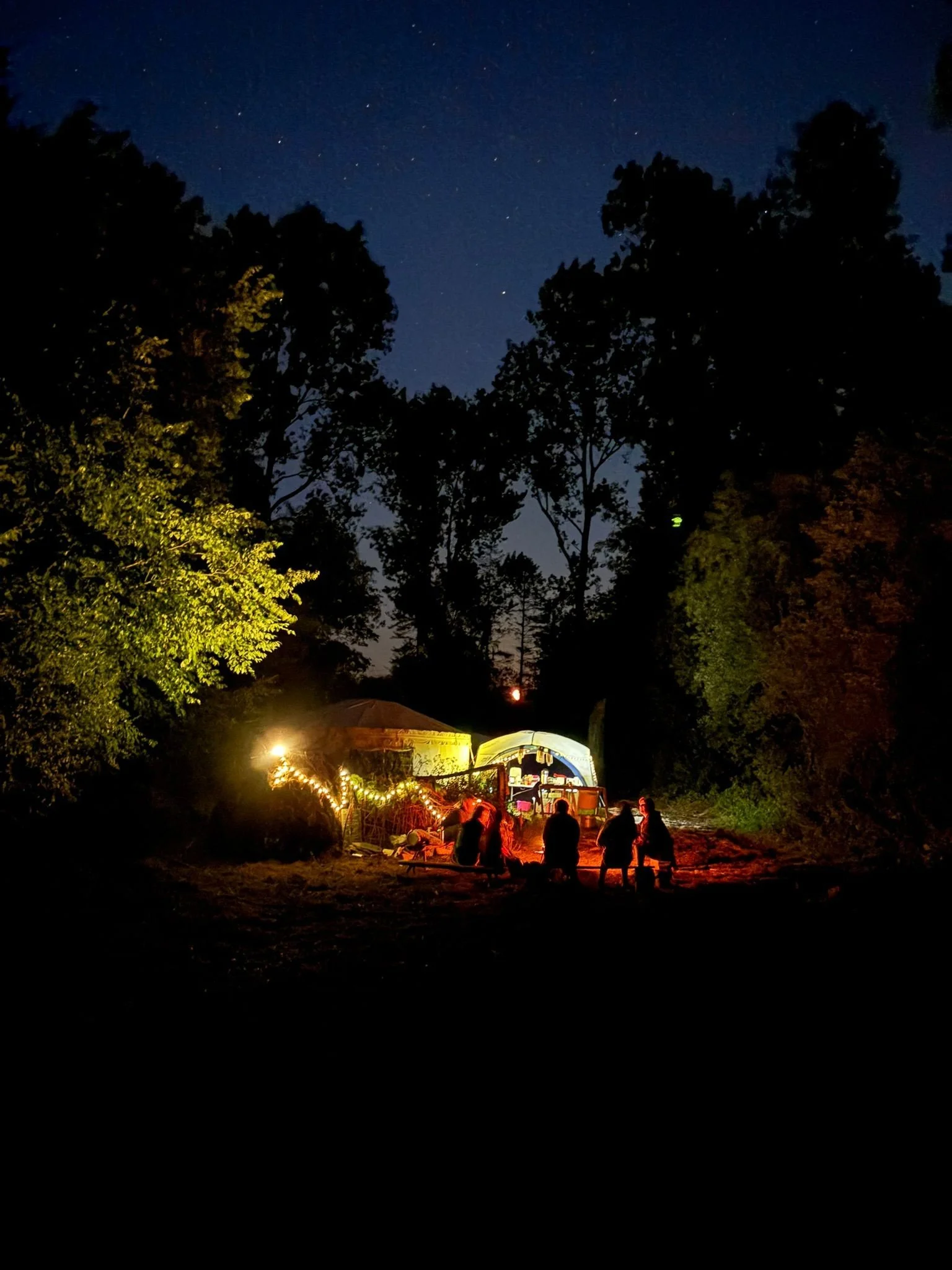 Group of people sitting around campfire at night in a forest with stars visible in the sky.