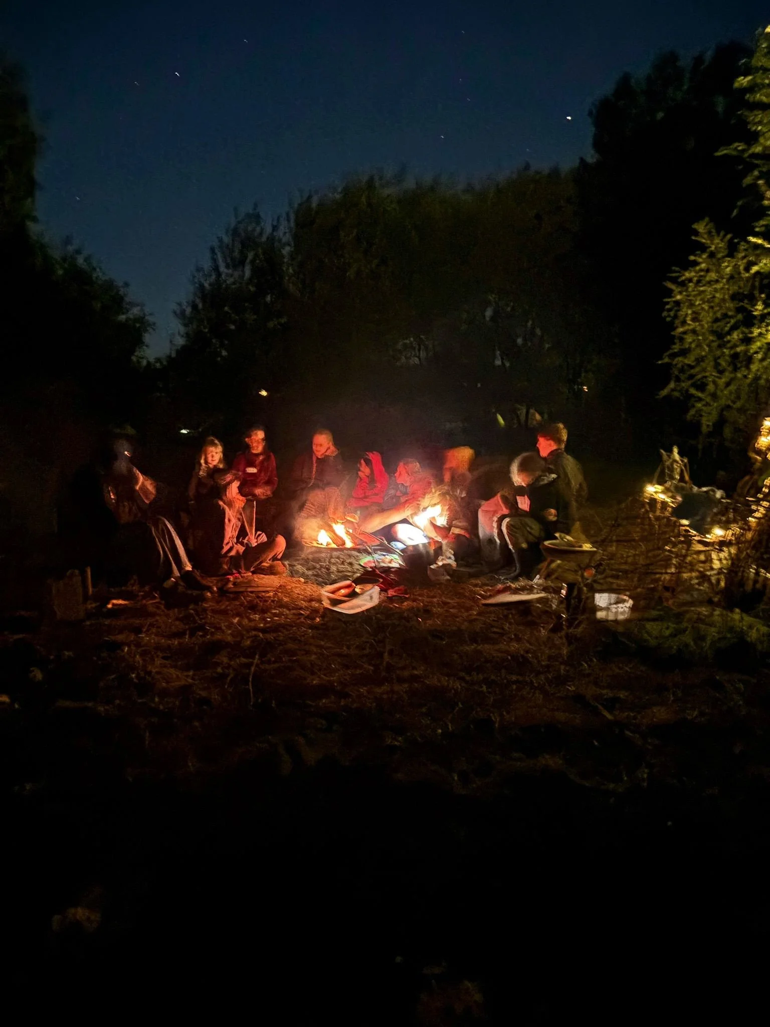 A group of people gathered around a fire outdoors at night, with trees and a starry sky in the background.