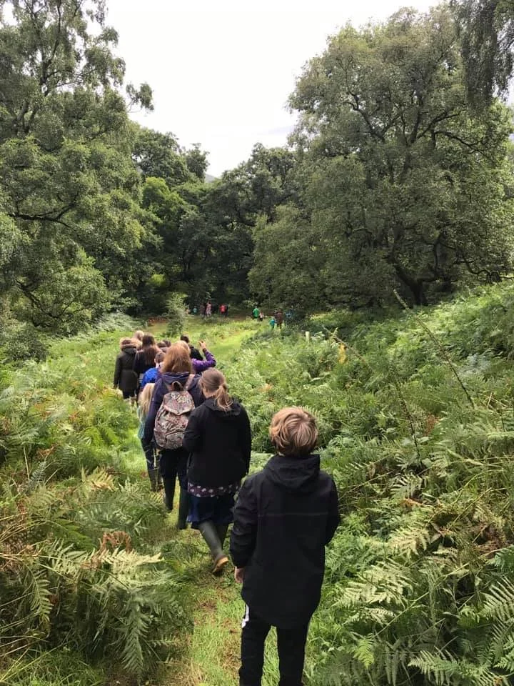 A group of people, including children, walking in a forested area along a narrow trail surrounded by green trees and ferns.