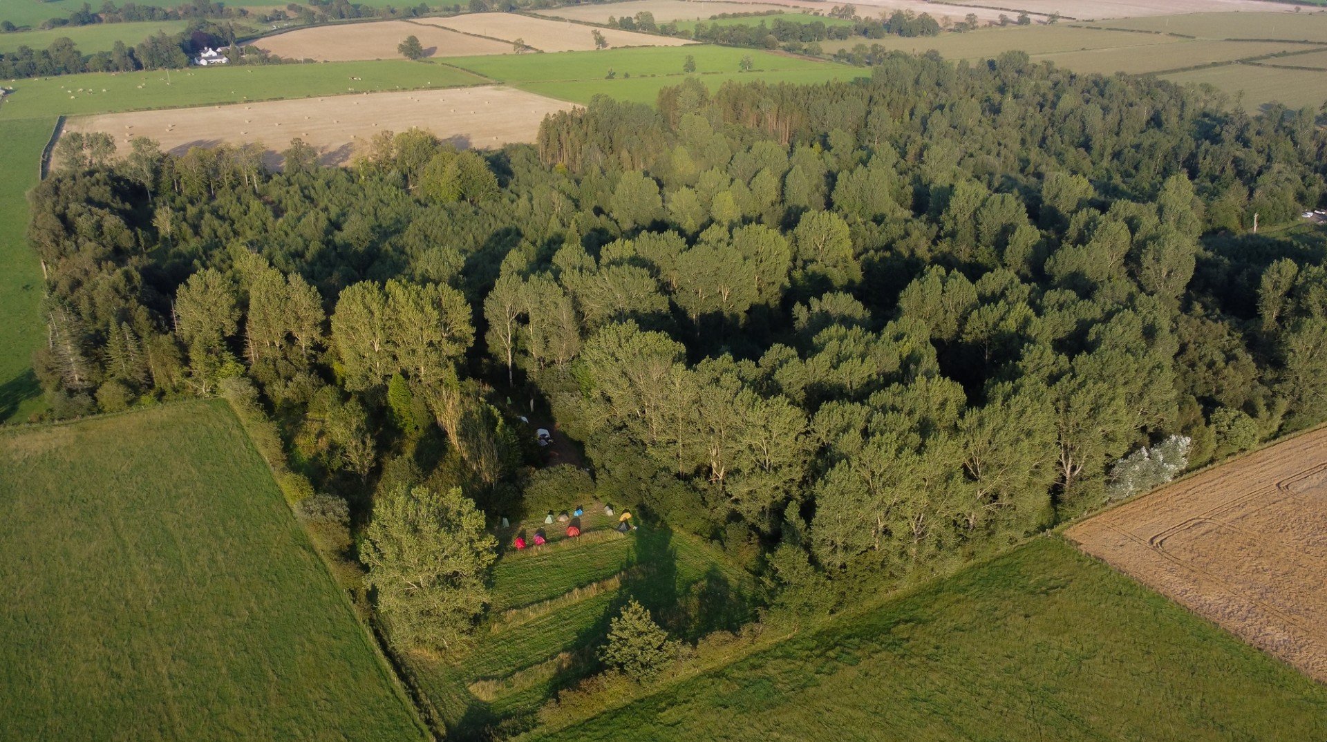 Aerial view of a forested area surrounded by open fields with a small camping site with colorful tents.