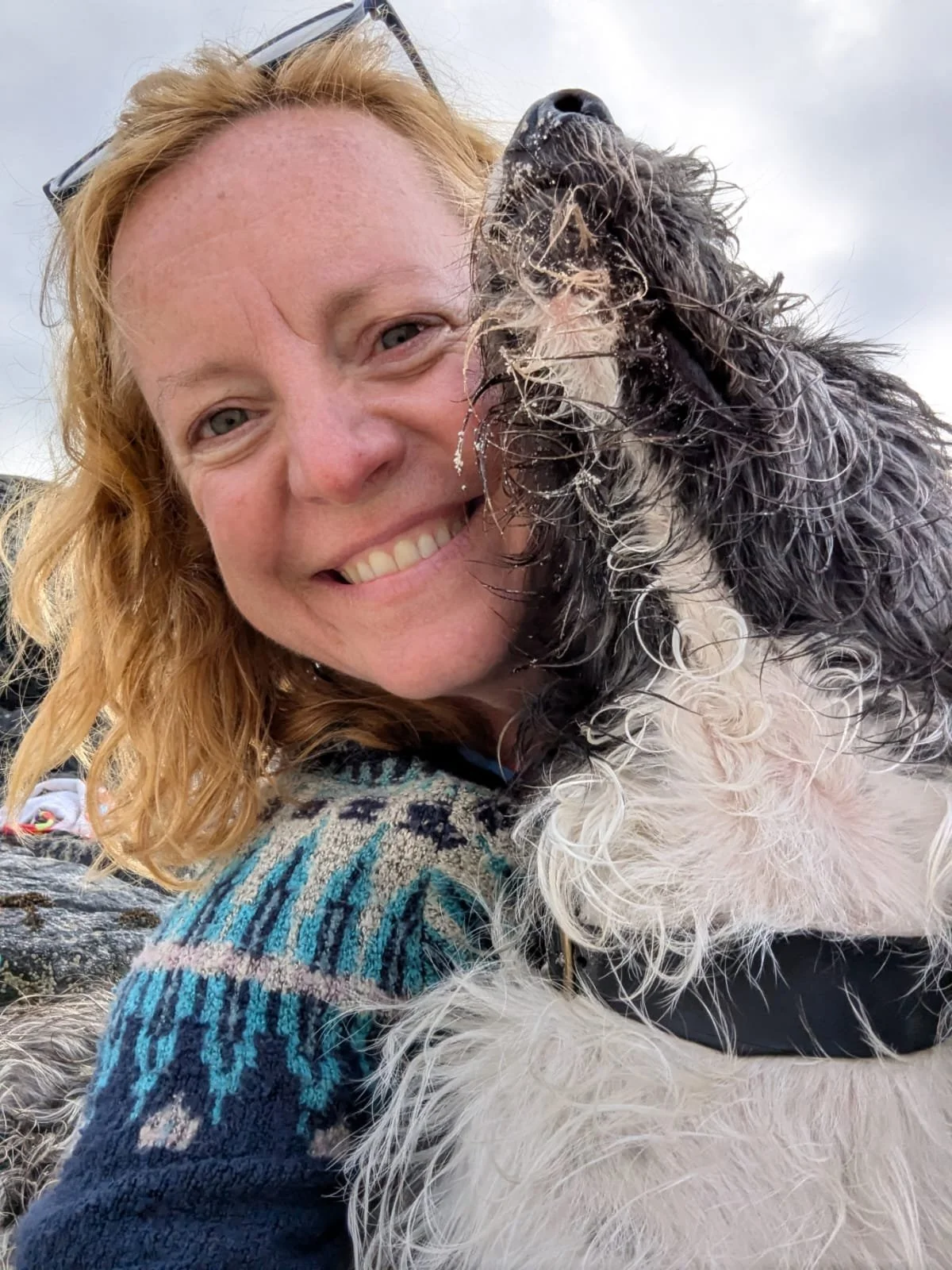 Dense green forest on mountainside with rocky patches at the top