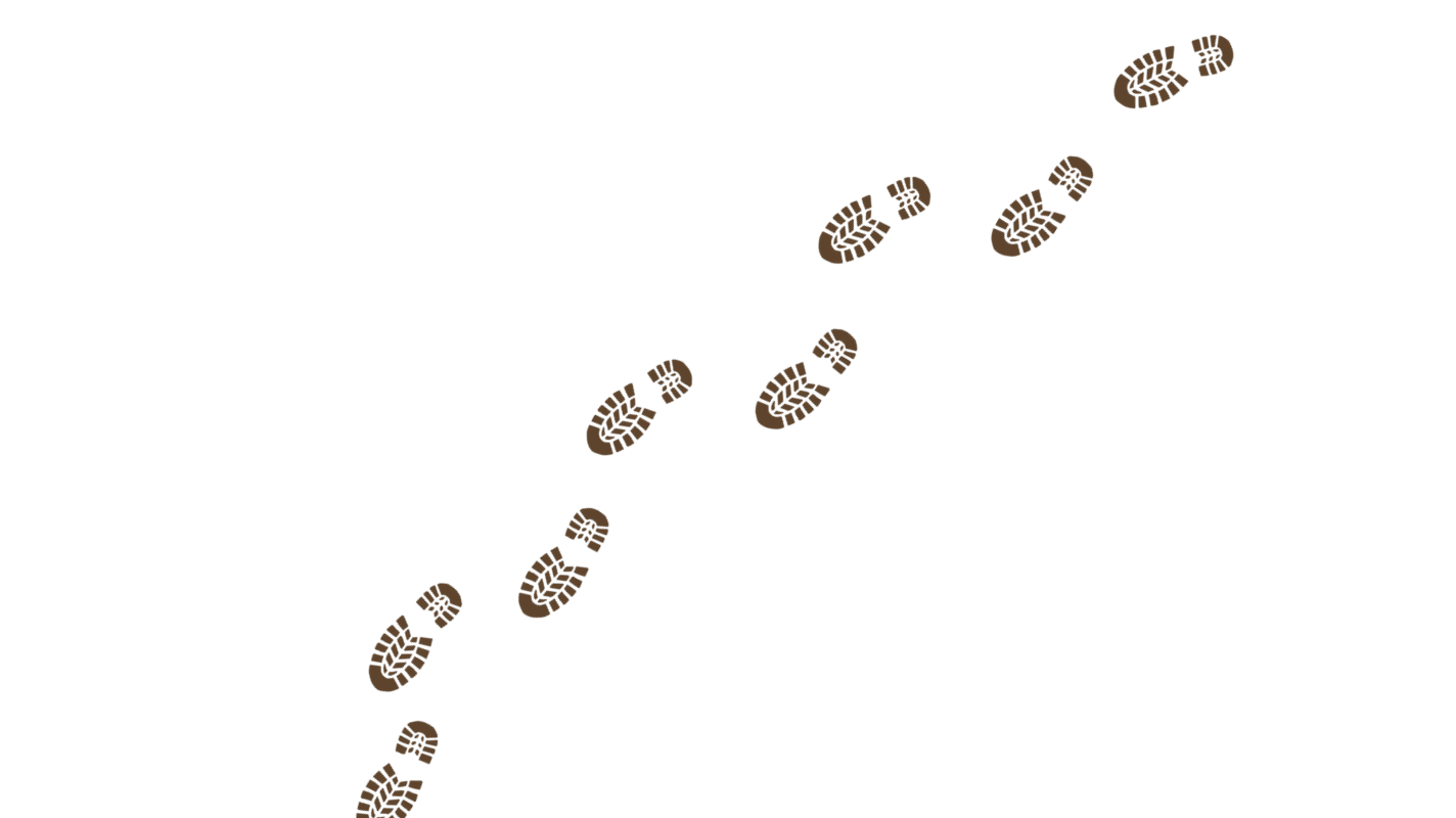 Multiple brown footprints in a winding trail on a black background.