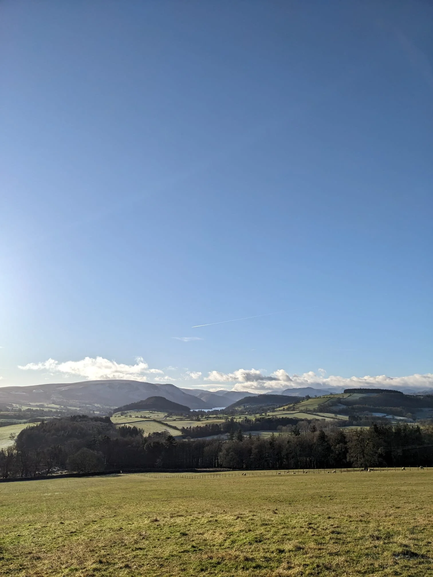 Open field with green grass in the foreground, rolling hills with trees and fields in the middle distance, mountains in the background under a bright blue sky with some clouds.