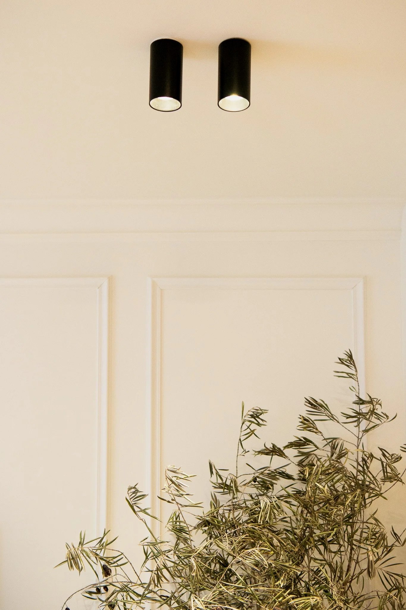 Plafonnier noir à deux lampes éclairant un plafond beige avec un mur blanc à panneaux et une plante d'intérieur avec des feuilles vertes striées.