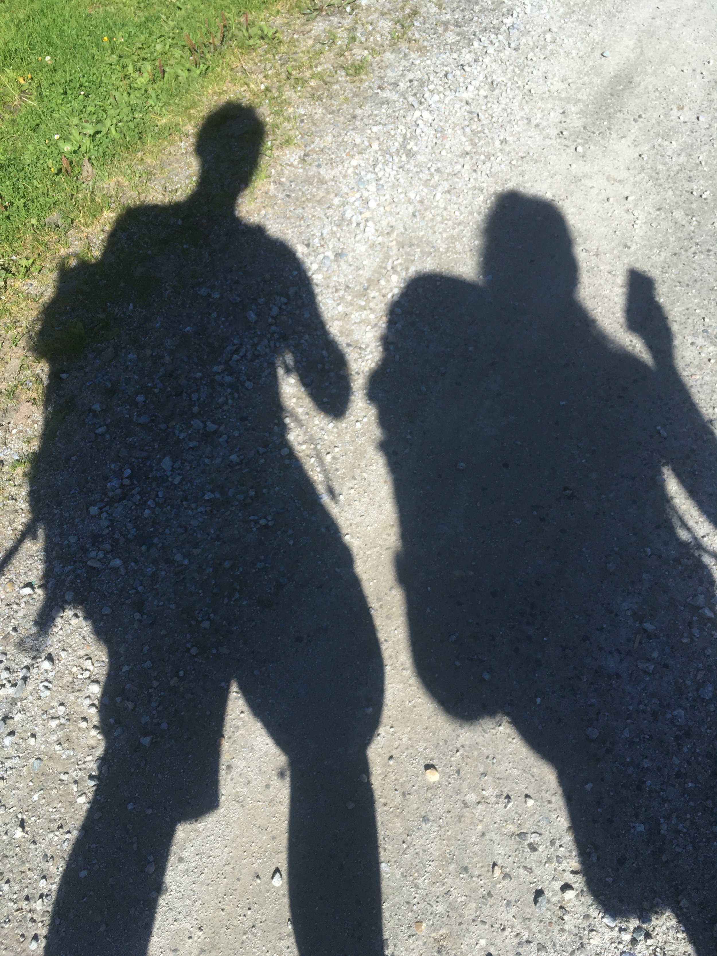 Schatten von zwei Menschen auf einem gepflasterten Weg, es zeigt, das du in Beratung nicht alleine bist.