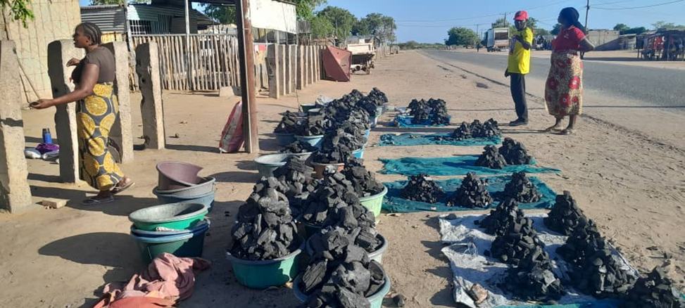 Beyond Park Boundaries