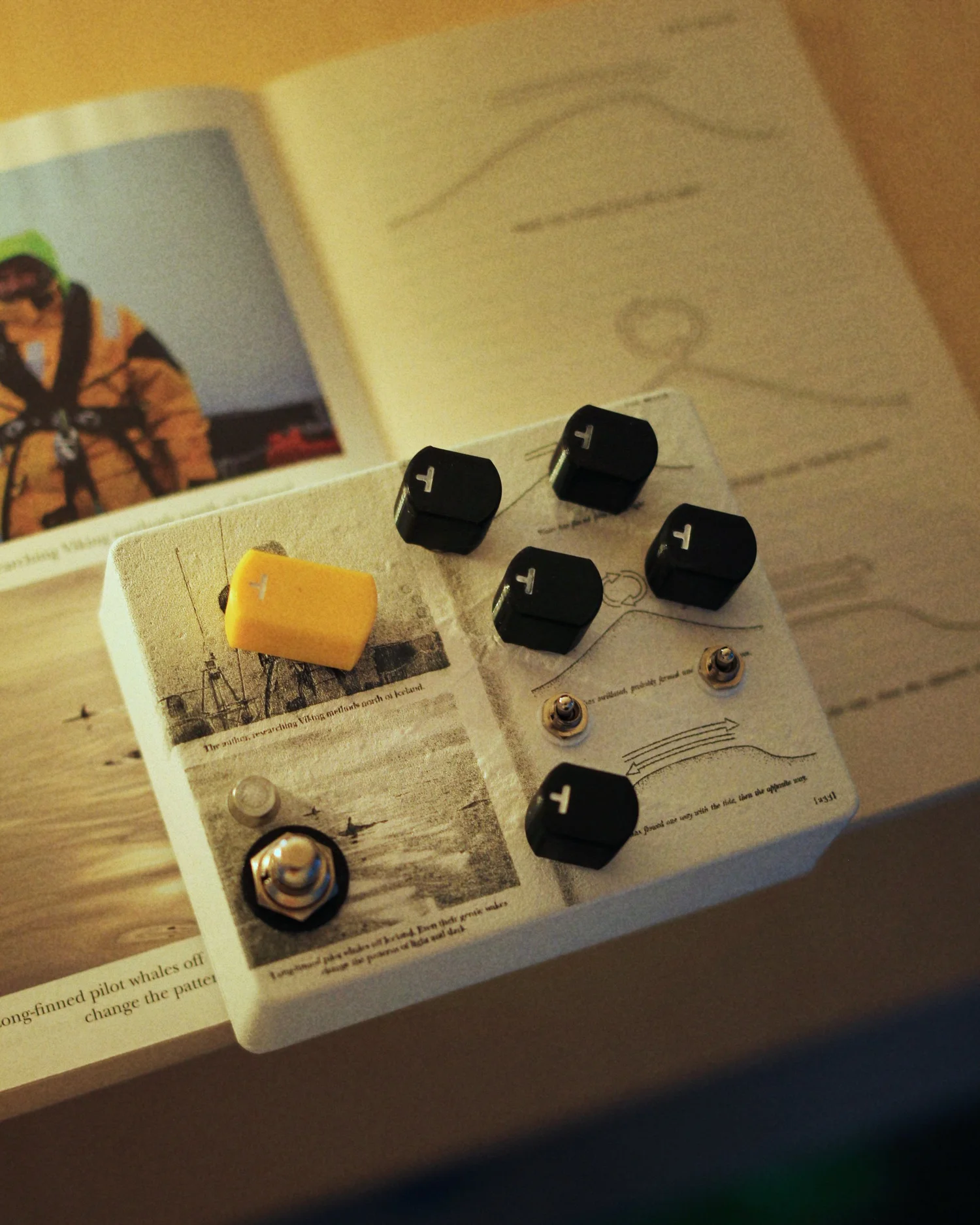 Empty Head Effects | Explore New Soundscapes - Shop Today
