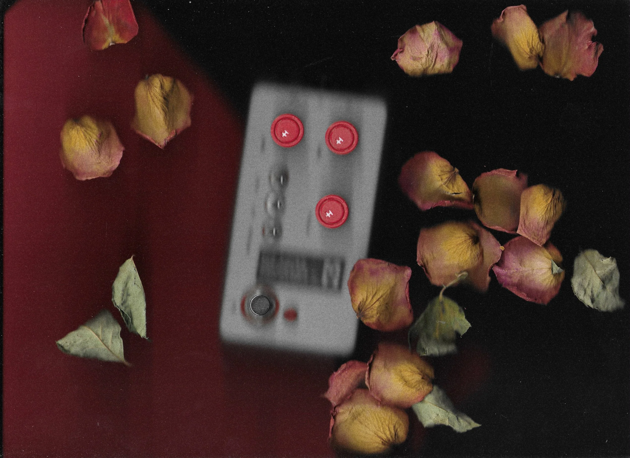 The Lover - Scan 1.jpg