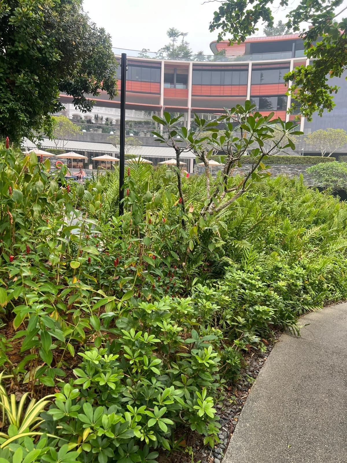 Singapore Works - 2