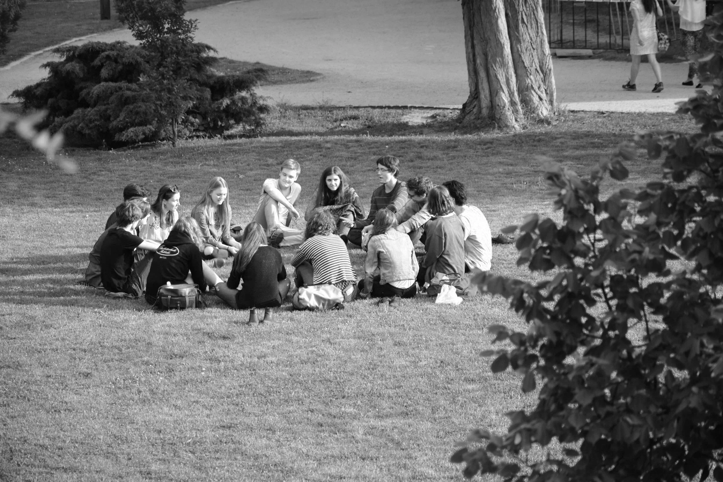 Mindful Tarot gathering creating shared reflection, connection, and group insight