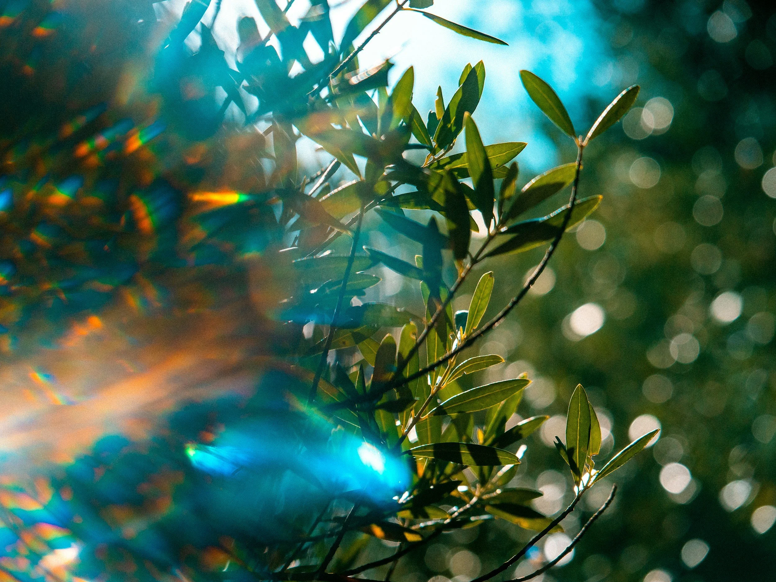 April: In the Light of Resurrection