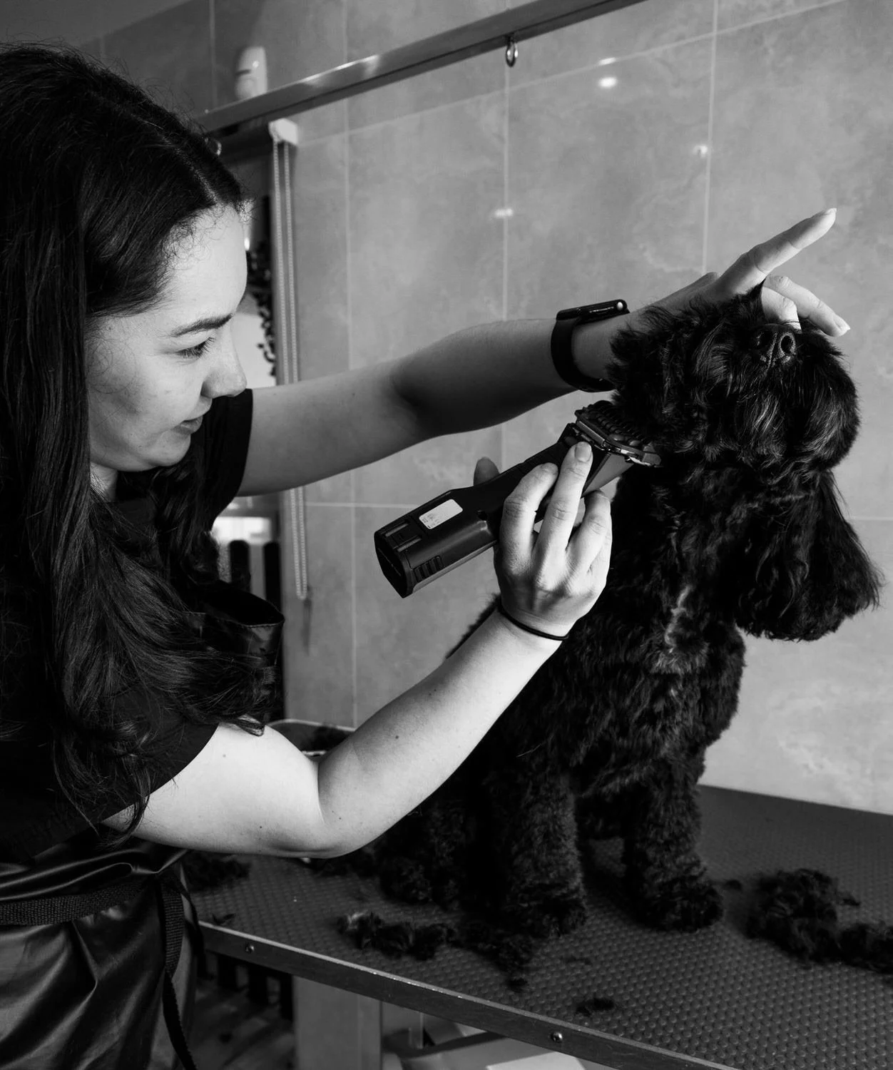 A woman grooming a dog with clippers in a grooming salon.