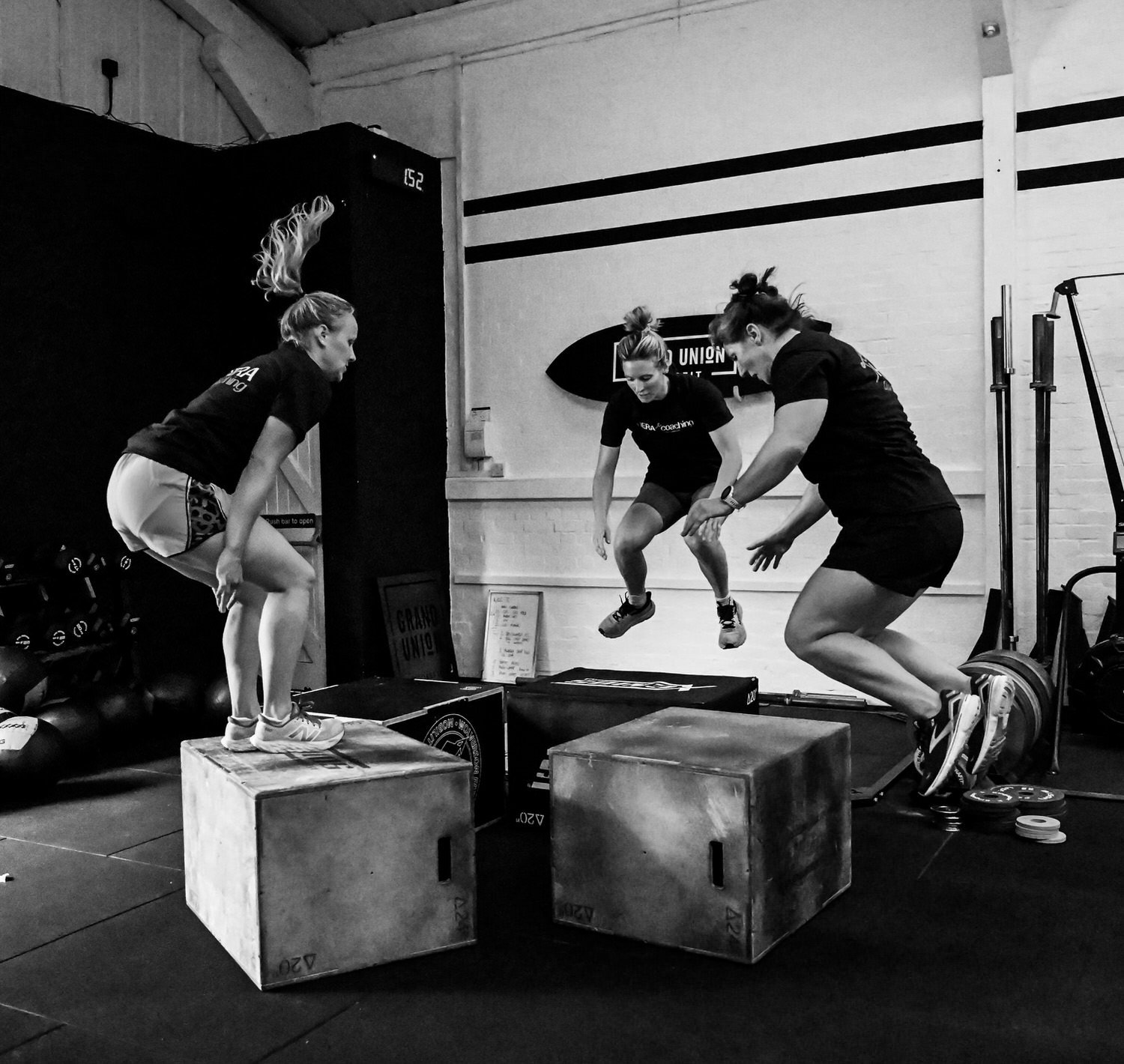 Copy of DSC_8306-2.jpg