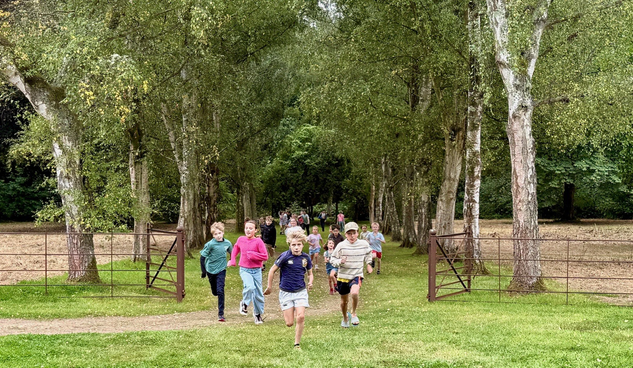 New research sheds light on why movement sharpens the mind