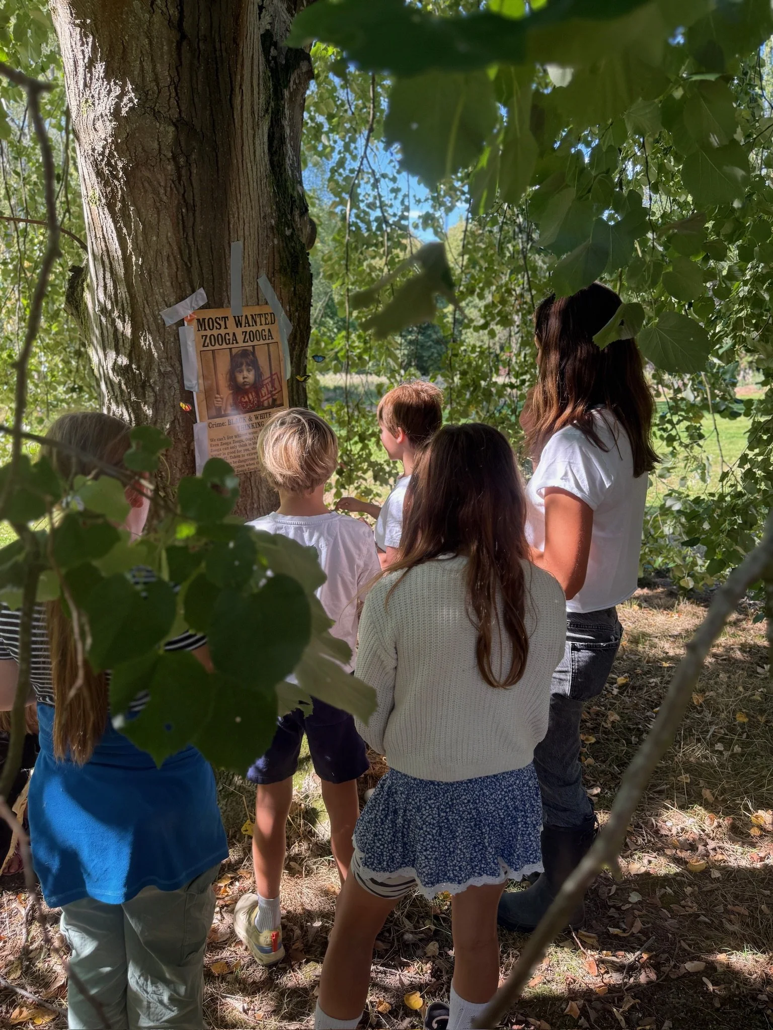 Want a summer job that transforms young lives - or know someone who would?