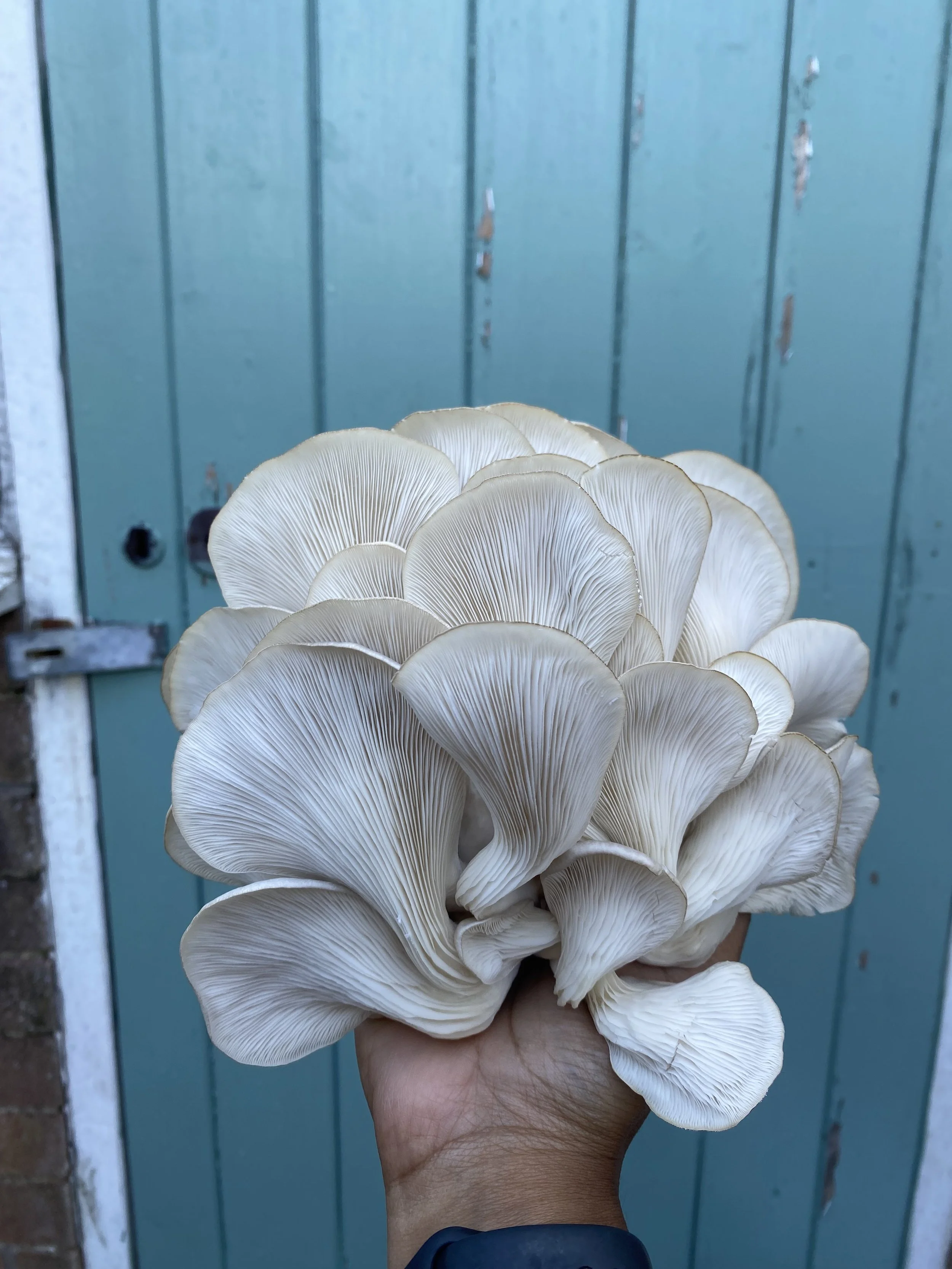 11 things I’ve learnt so far…