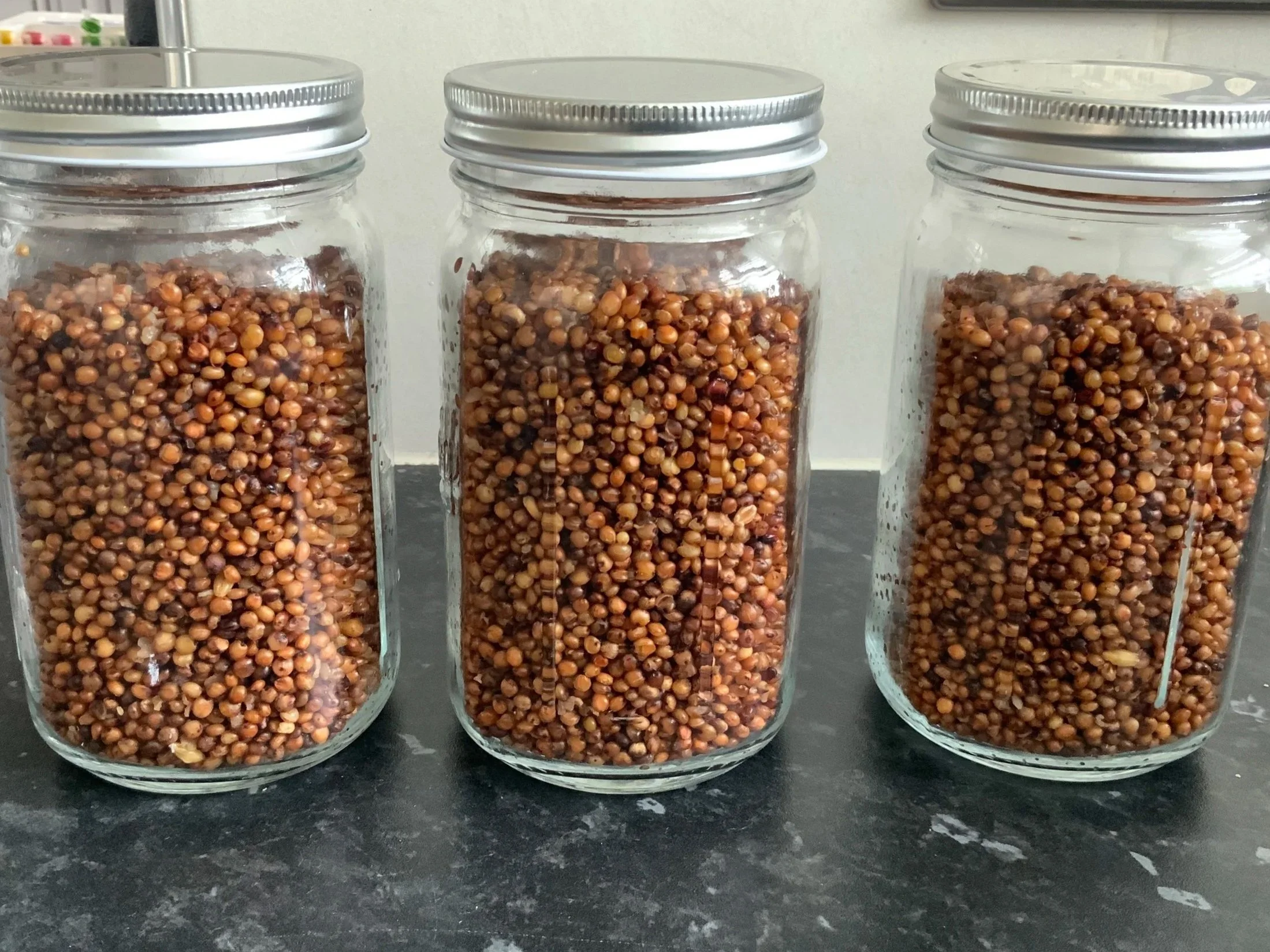 Making home-made grain spawn