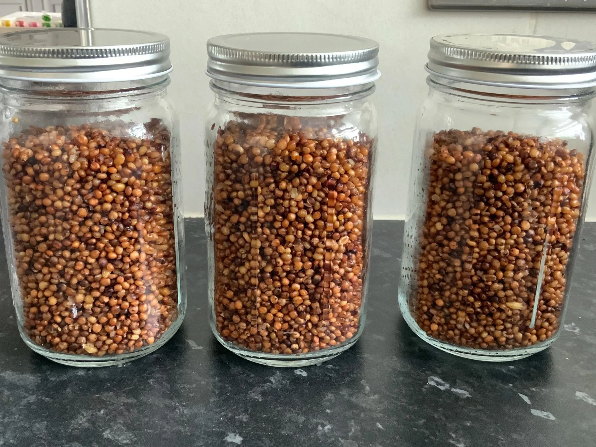 Soaked grain in jars ready to be sterilised.