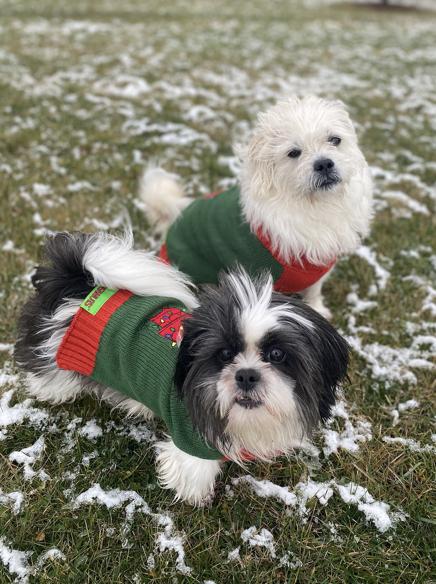 Screenshot 2024-01-24 at 9.15.22 AM.png