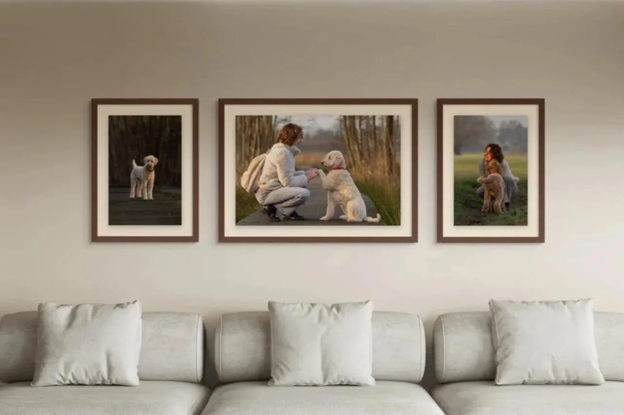 Foto's voor aan de muur hond