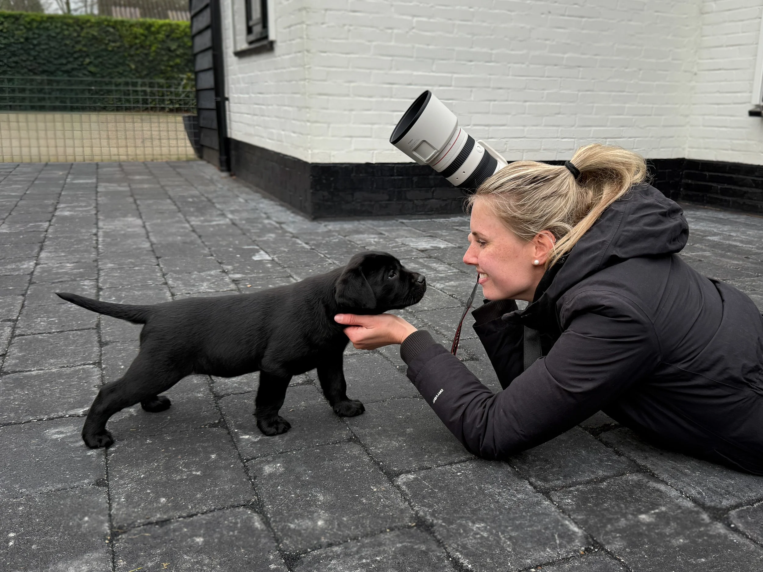 Foto mens en hond