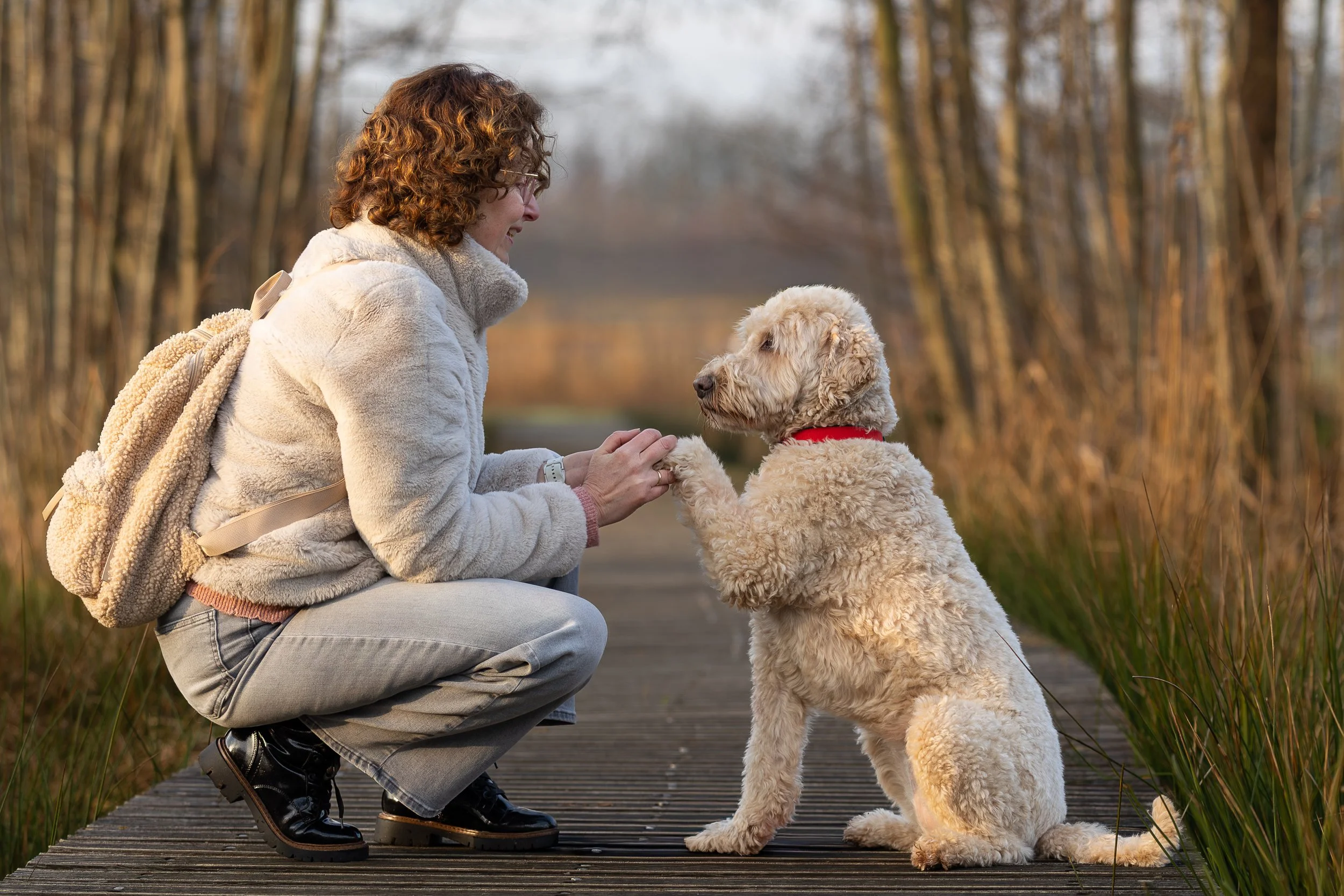 Foto's van hond en mens
