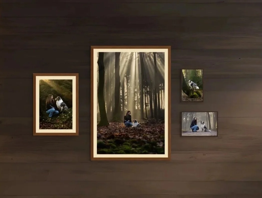 Ingelijste foto's van hond voor in huis