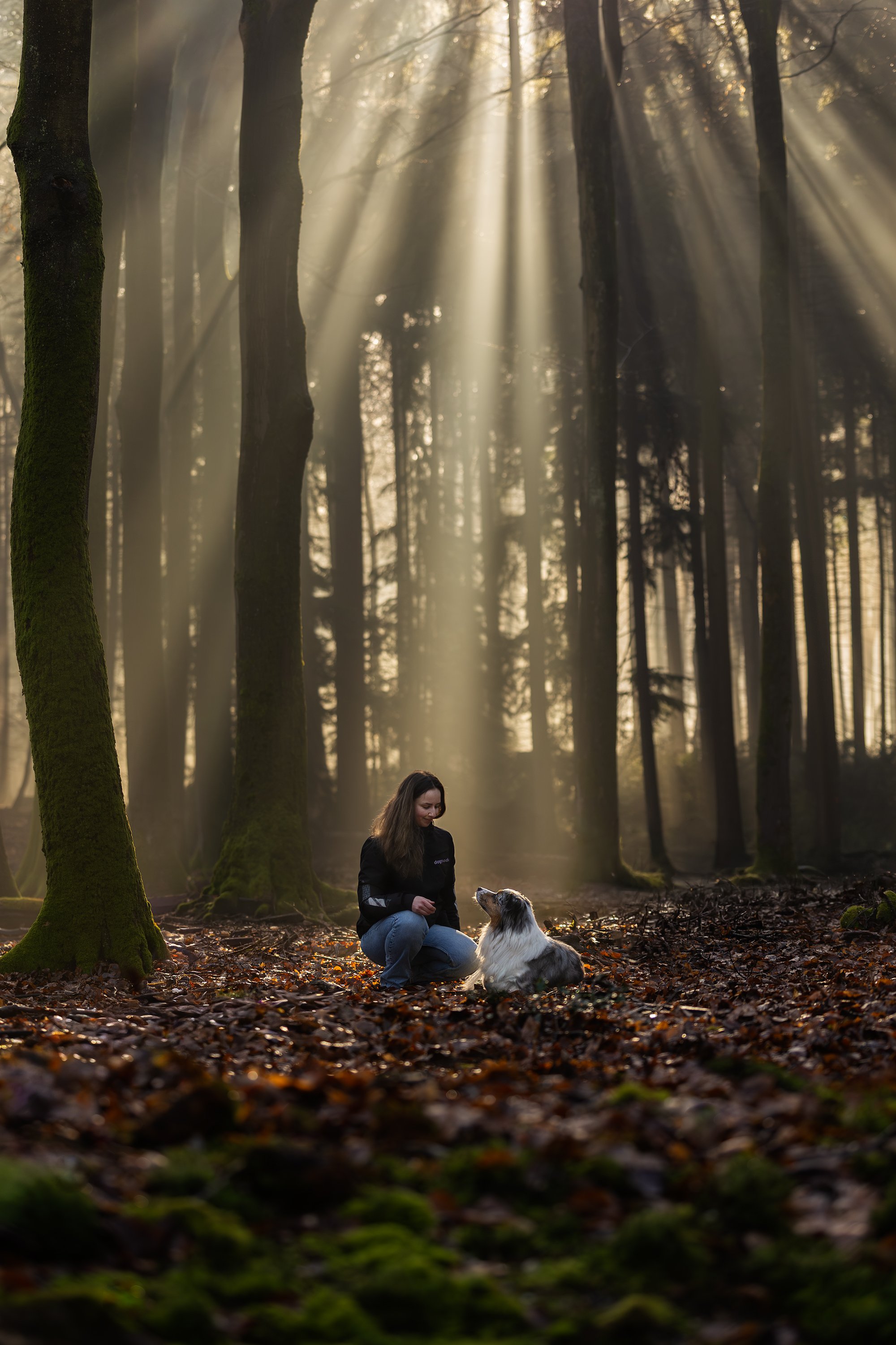 Mooie plek in het bos fotografie