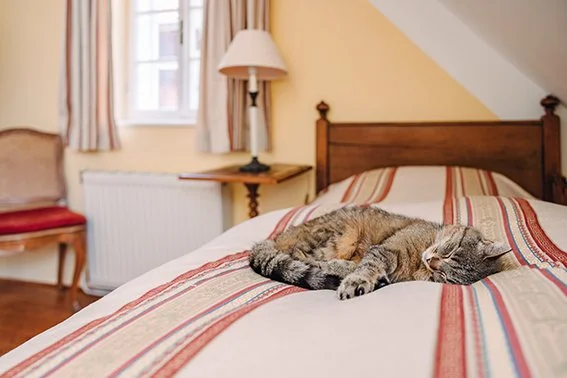 Einzelzimmer mit Bad