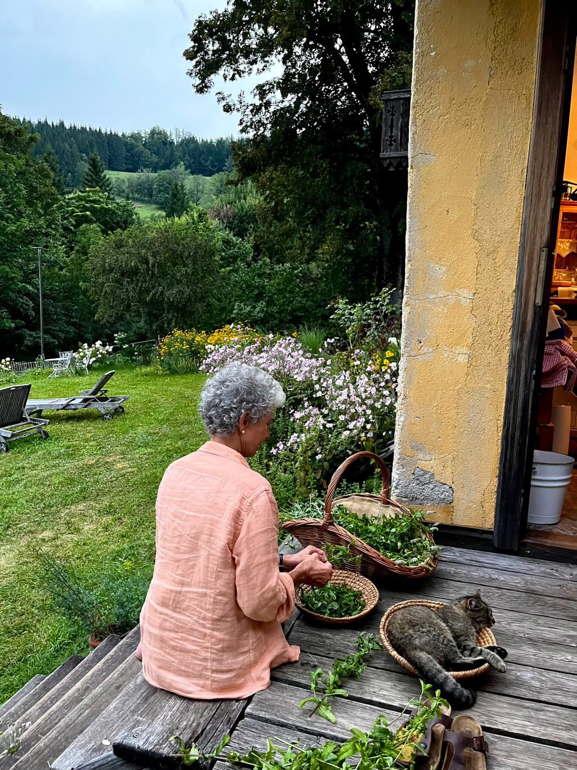 Eine ältere Frau mit grauen, lockigen Haaren sitzt auf einer Holzterrasse und erntet Kräuter. Neben ihr liegt eine getigerte Katze im Korb. Im Hintergrund sind grüne Bäume, Wiesen und ein blauer Himmel. Ein offenes Haus ist links sichtbar.