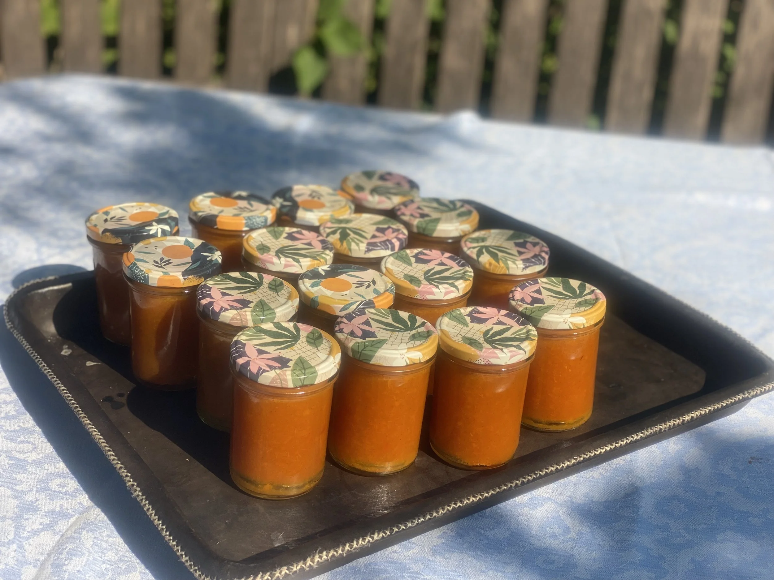 Mehrere Gläser mit Orangenmarmelade auf einem schwarzen Blech auf einem weißen Tisch im Freien.