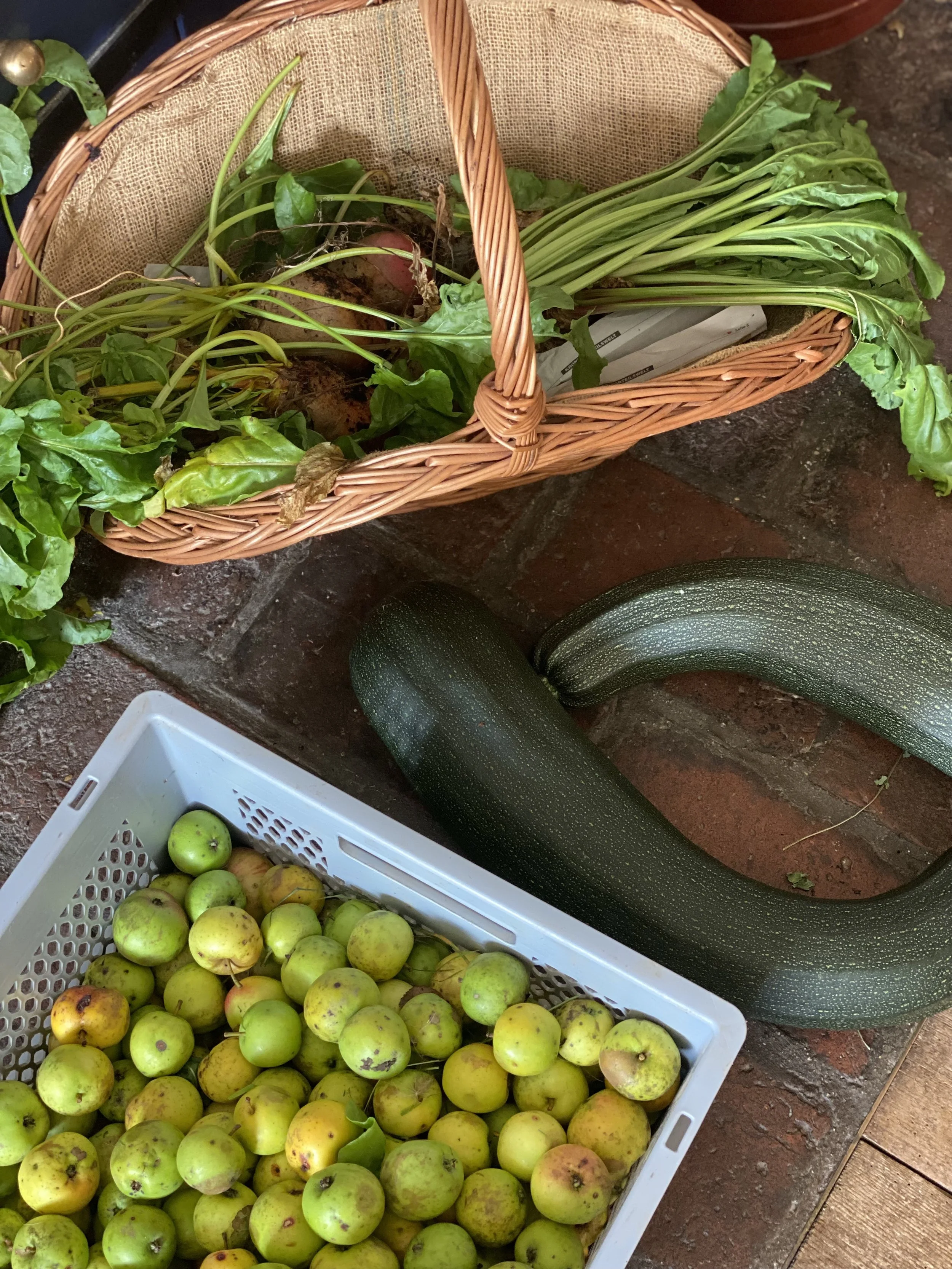 Ein Korb mit frischen Rüben, einer großen Zucchini und einem Korb mit grünen Äpfeln auf einem Steinboden.
