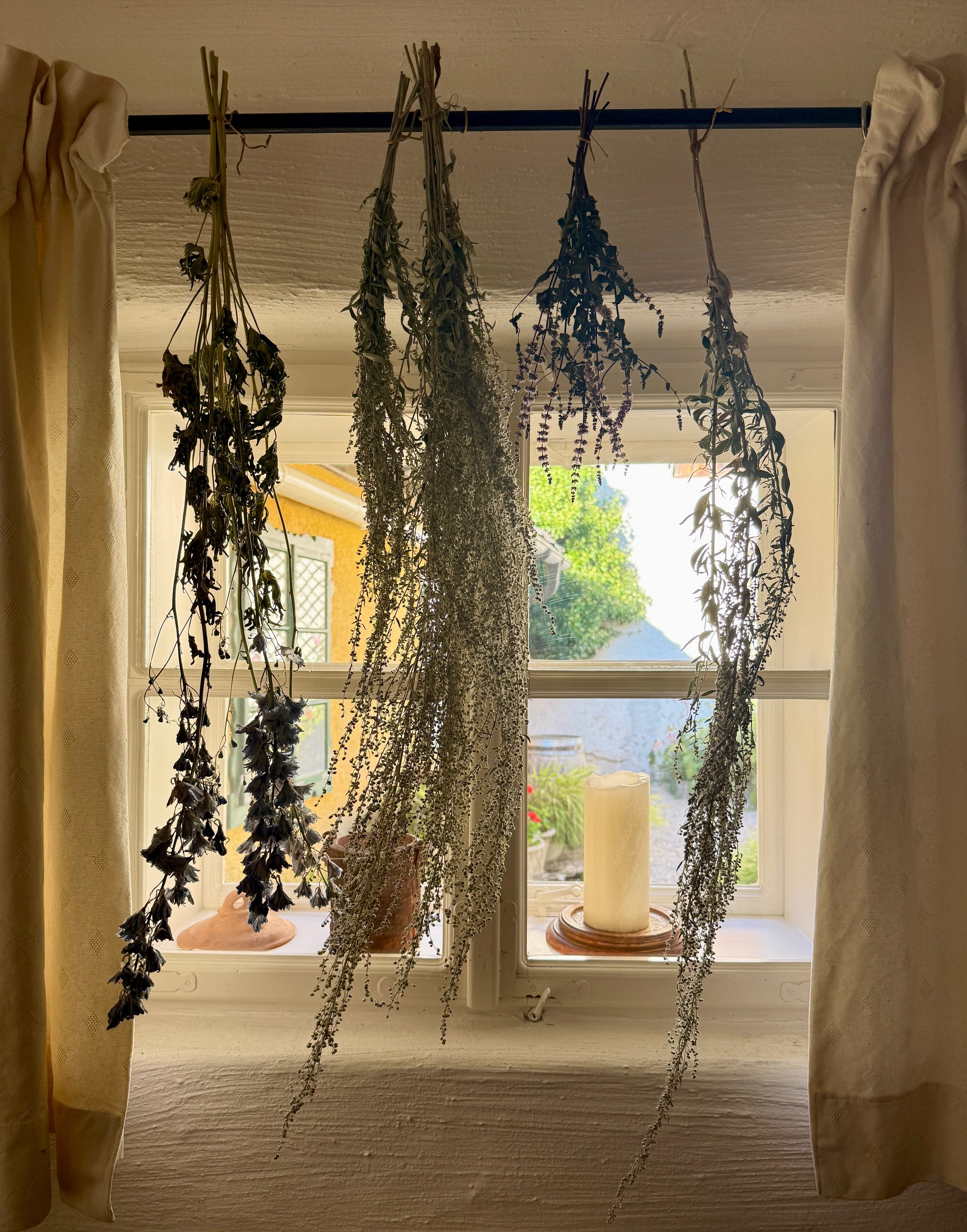 Hängende getrocknete Kräuter vor einem Fenster mit Blick nach draußen, Kerzen auf der Fensterbank, sonniger Garten.