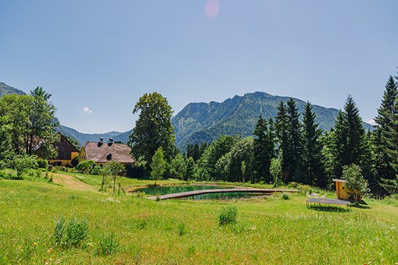 Eine grüne Wiesenlandschaft mit Bäumen, Bergen im Hintergrund und einem kleinen Fluss