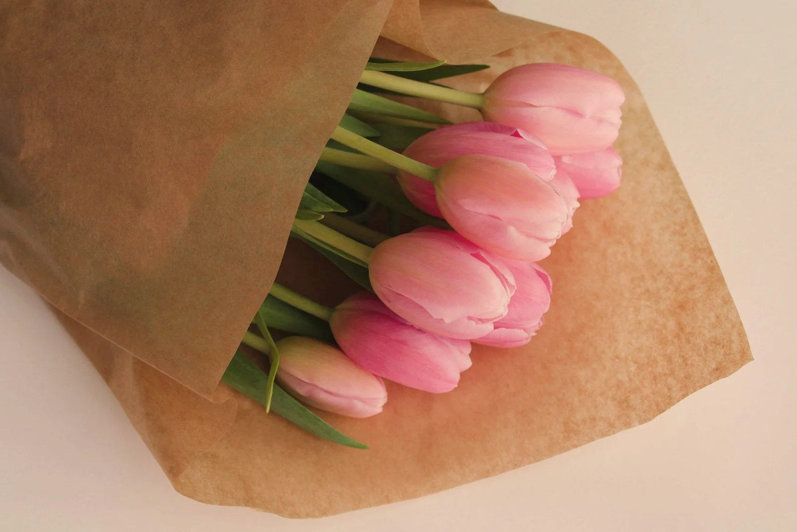 Digital-Florist-Colour.jpg