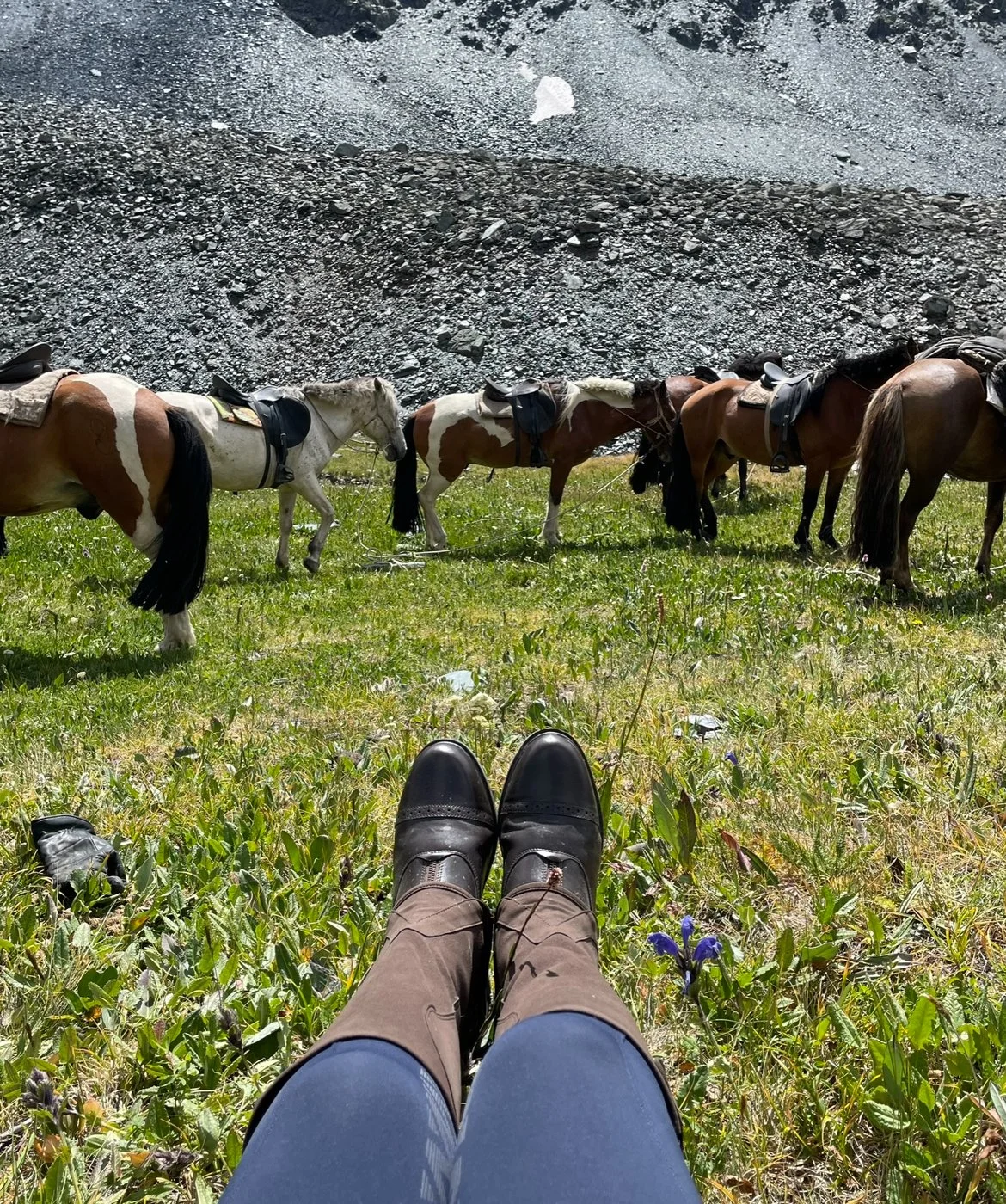 Person sitting on grass, wearing brown chaps and black shoes, with horses tied to a fence in front of a rocky mountain slope.