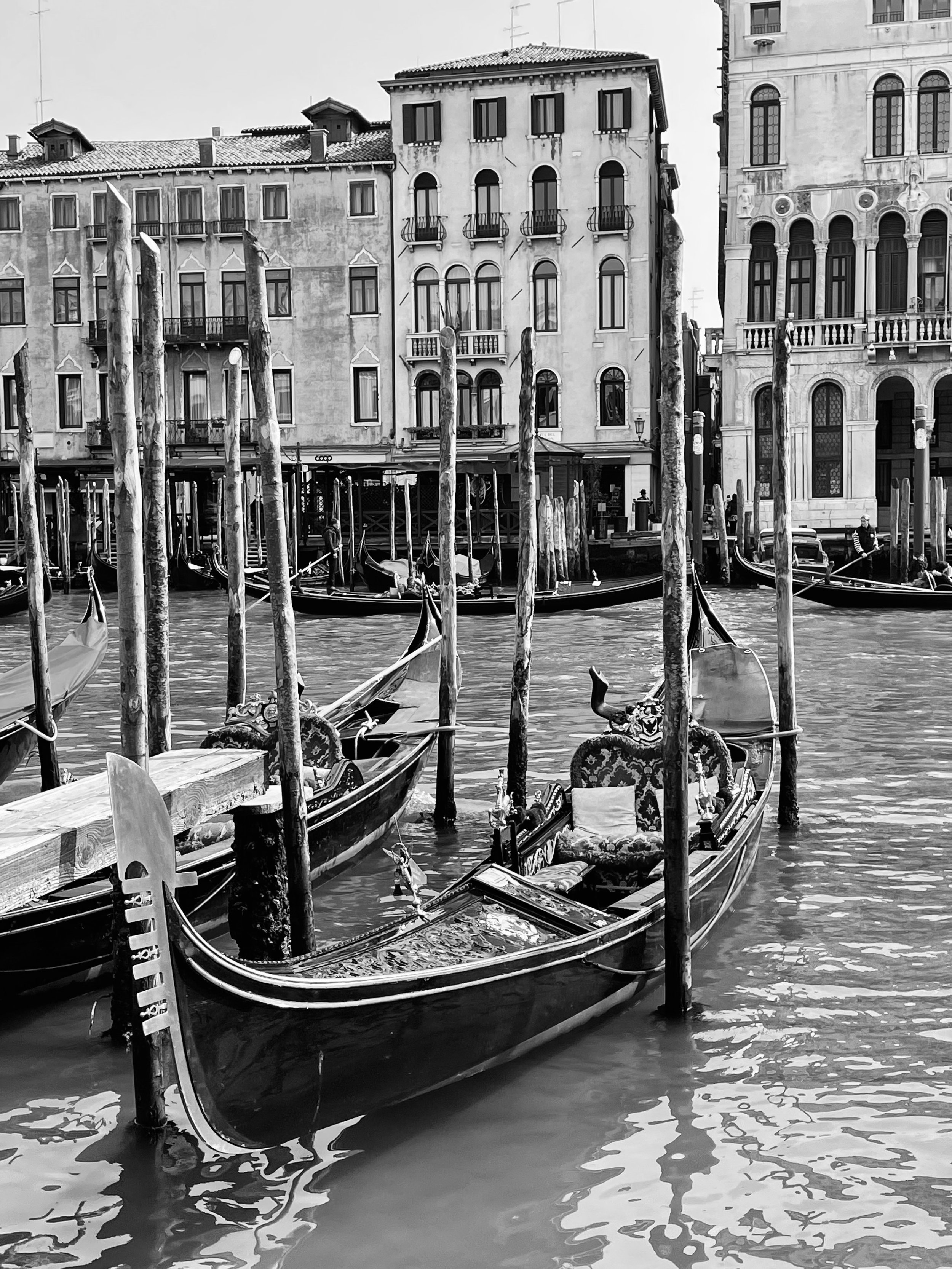 Gondola boats docked along the waterfront in Venice, Italy, with old buildings in the background.