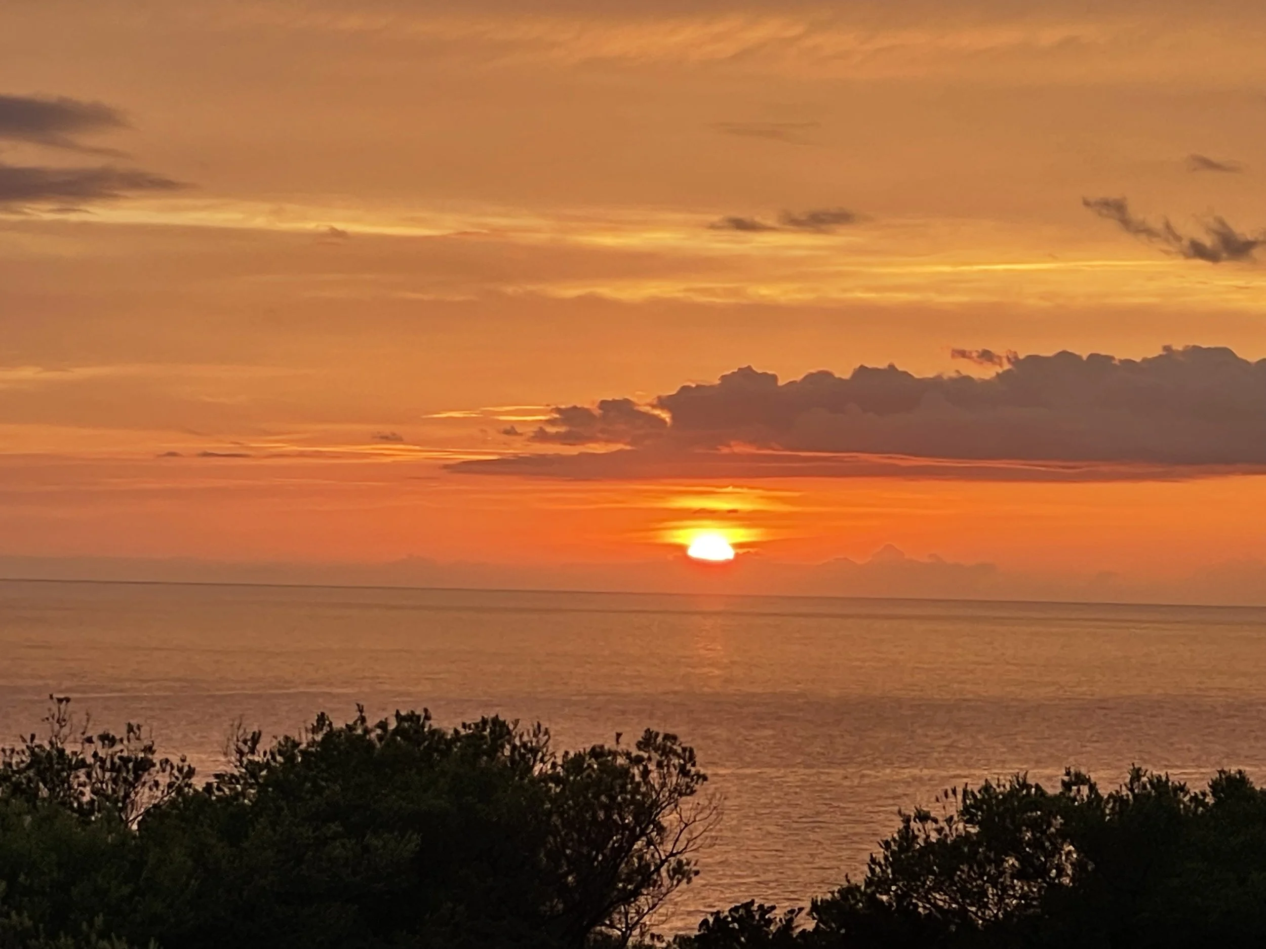 Sunset over the ocean with orange and pink sky and silhouetted trees in the foreground.