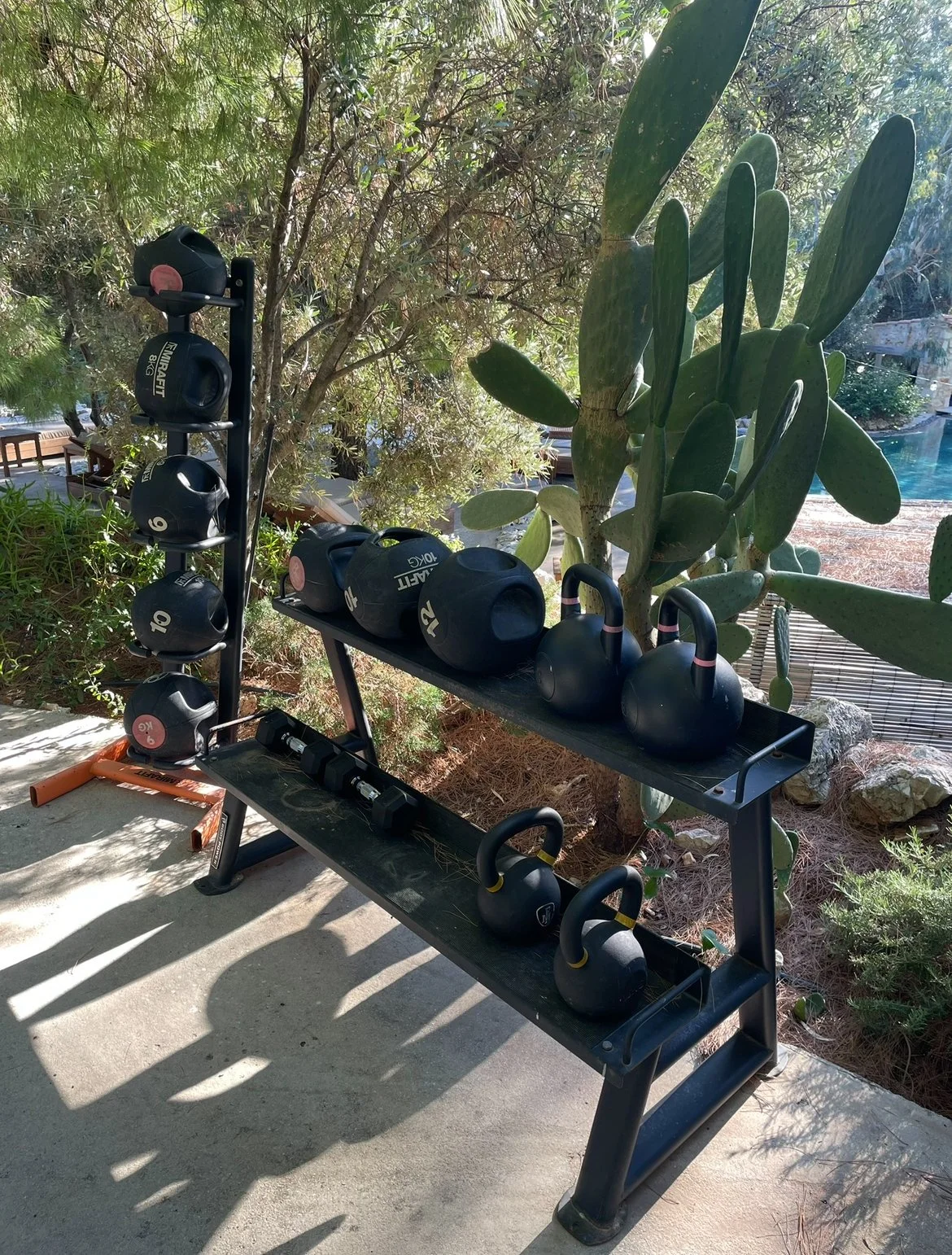 Outdoor fitness area with a black metal rack holding six black kettlebells, some weight plates, and two black medicine balls against a background of trees, cactus, and a swimming pool.