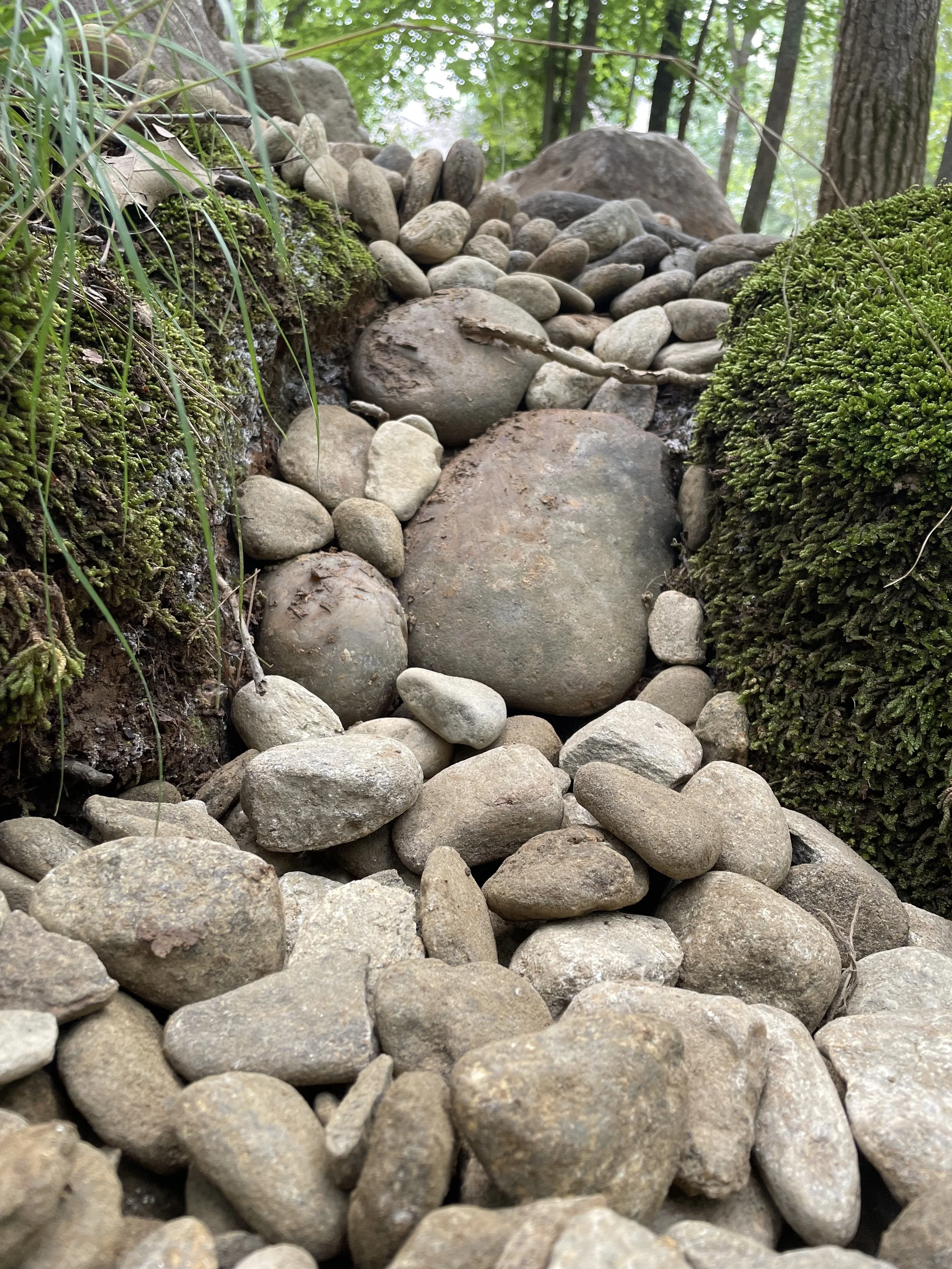 Close-up of a small rocky stream with smooth stones and greenery on the sides in a forest.