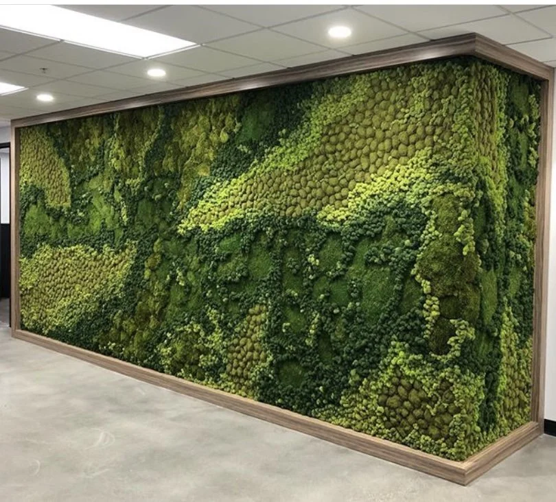Indoor green moss wall decor with various shades of green moss, framed in wood, mounted on a wall in an office setting.