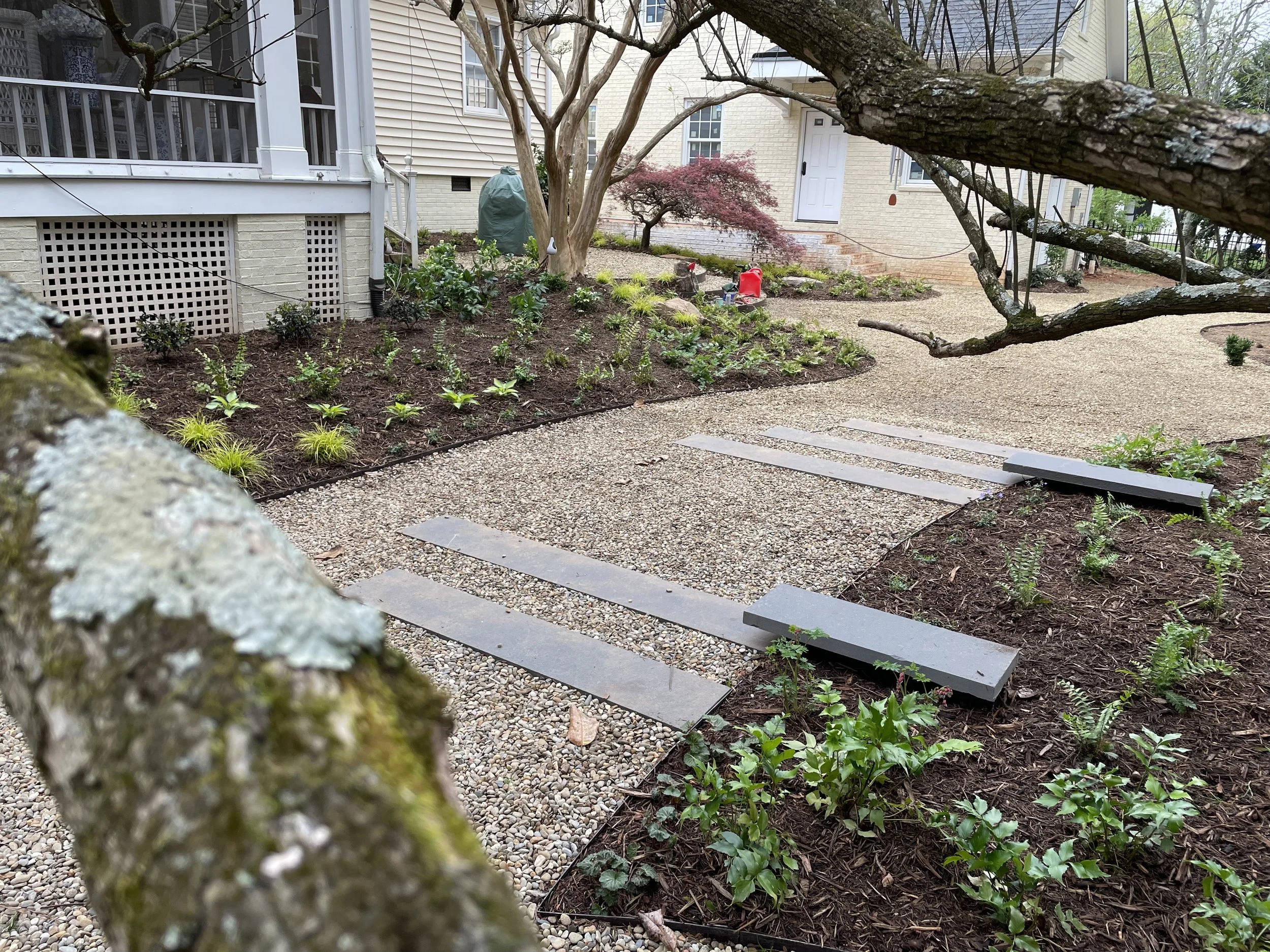 Front yard of a house with a garden, tree branches in foreground, stone pathway, and small plants and shrubs around