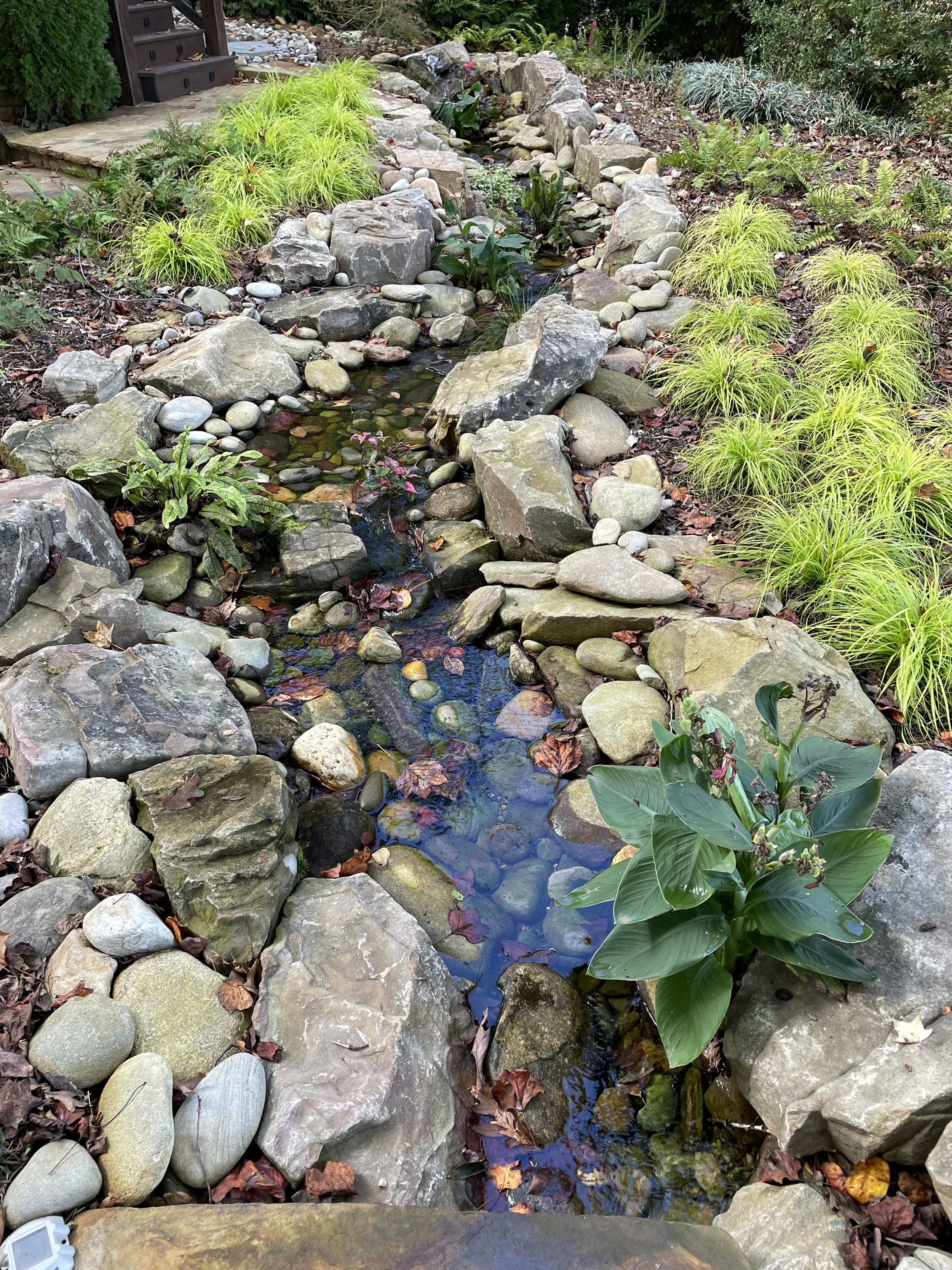 A small garden stream bordered by rocks and lush green plants, with a stairway and trees in the background.