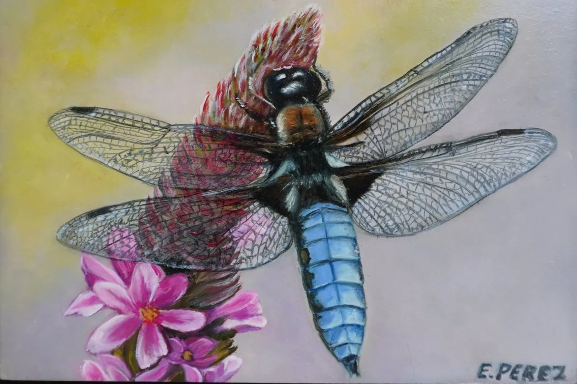 The Blue Dragonfly