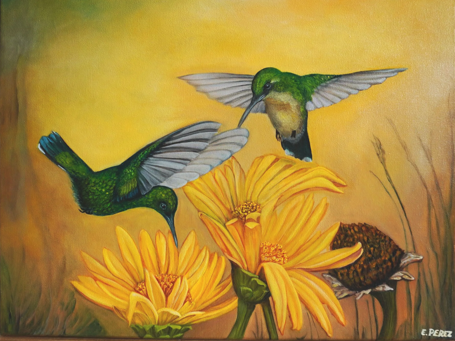 Happy Colibri's