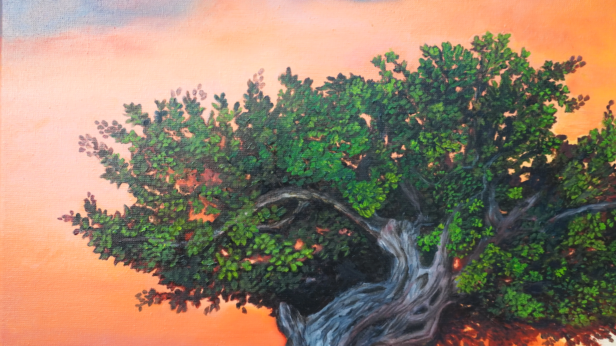 Blissful Fofoti Tree at Sunset - Edith Perez Art