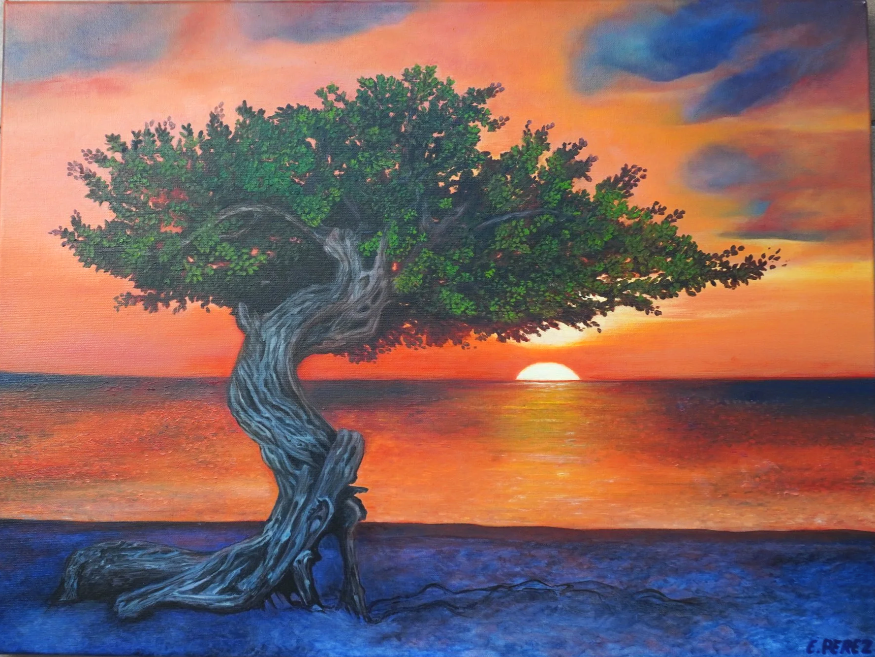 Blissful Fofoti Tree at Sunset