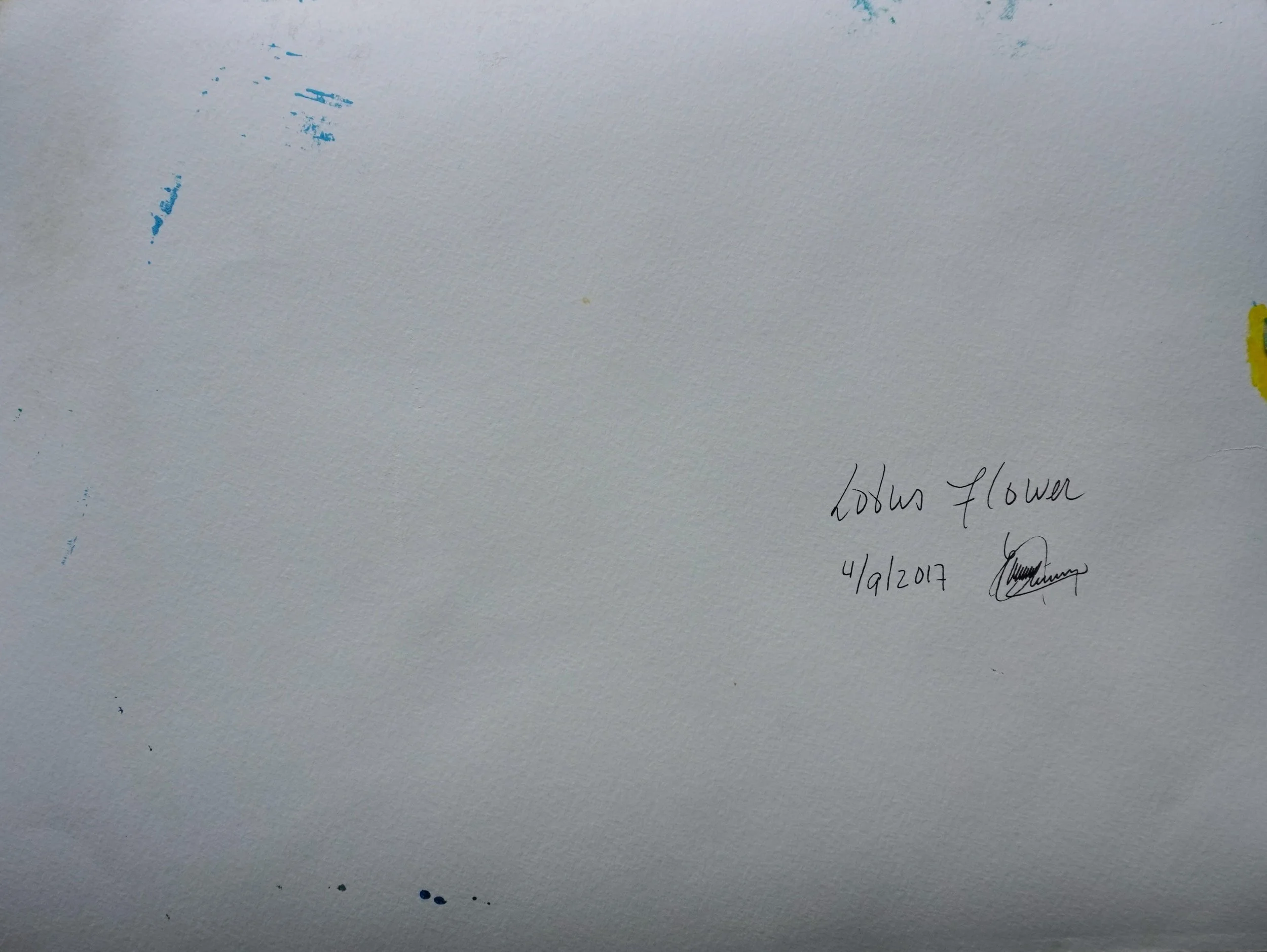 3) Backside picture Lotus Flower.JPG