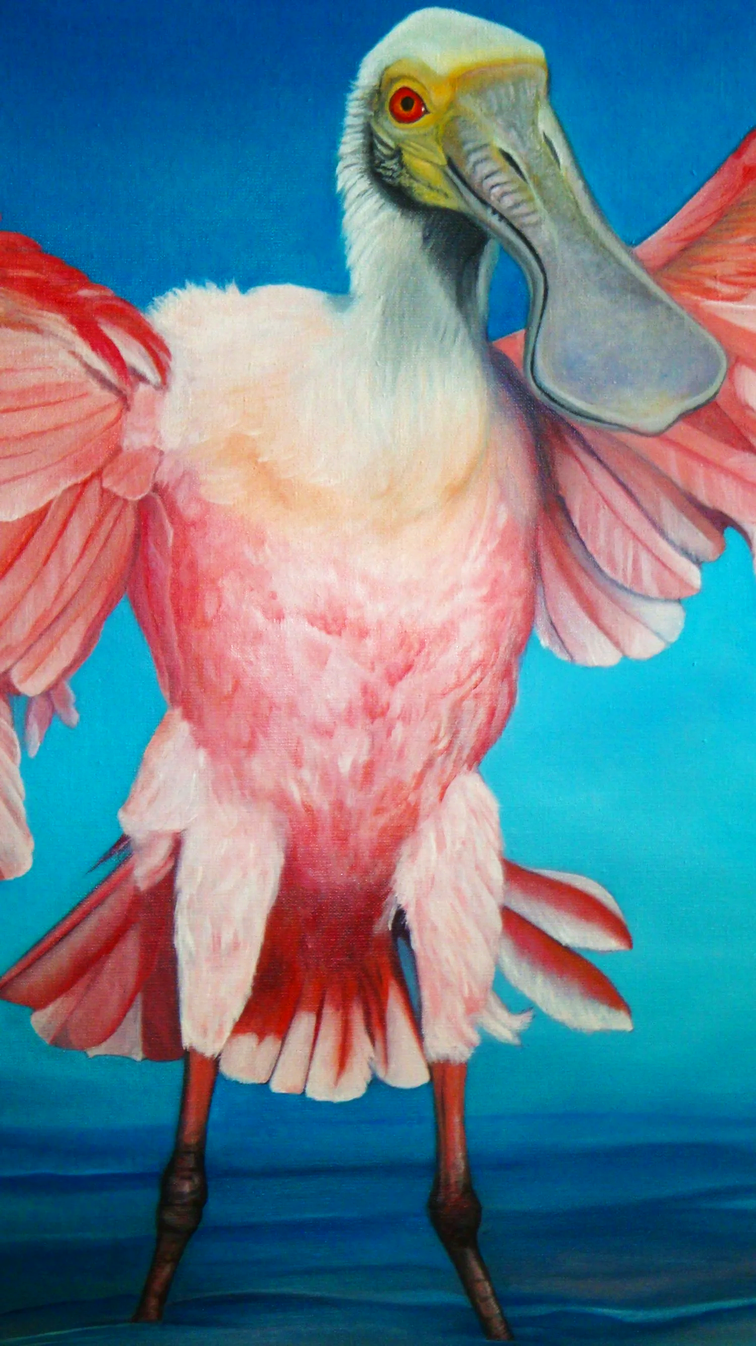 Young Roseate Spoonbill Standing off